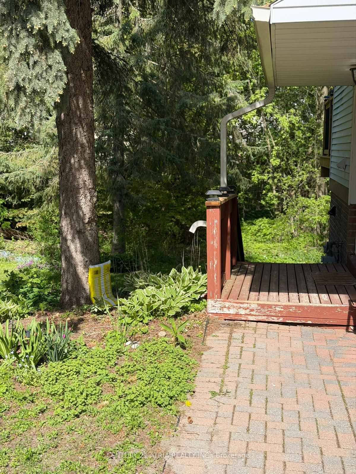 12 Wiles Court Basement, Aurora, ON L4G 3N5 photo 3
