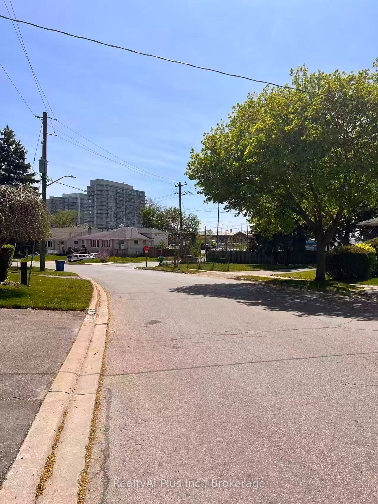 52 Walter Avenue, Newmarket, ON L3Y 2T3 photo 2