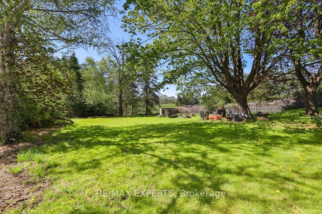 6531 King Road, King, ON L0G 1N0 photo 4