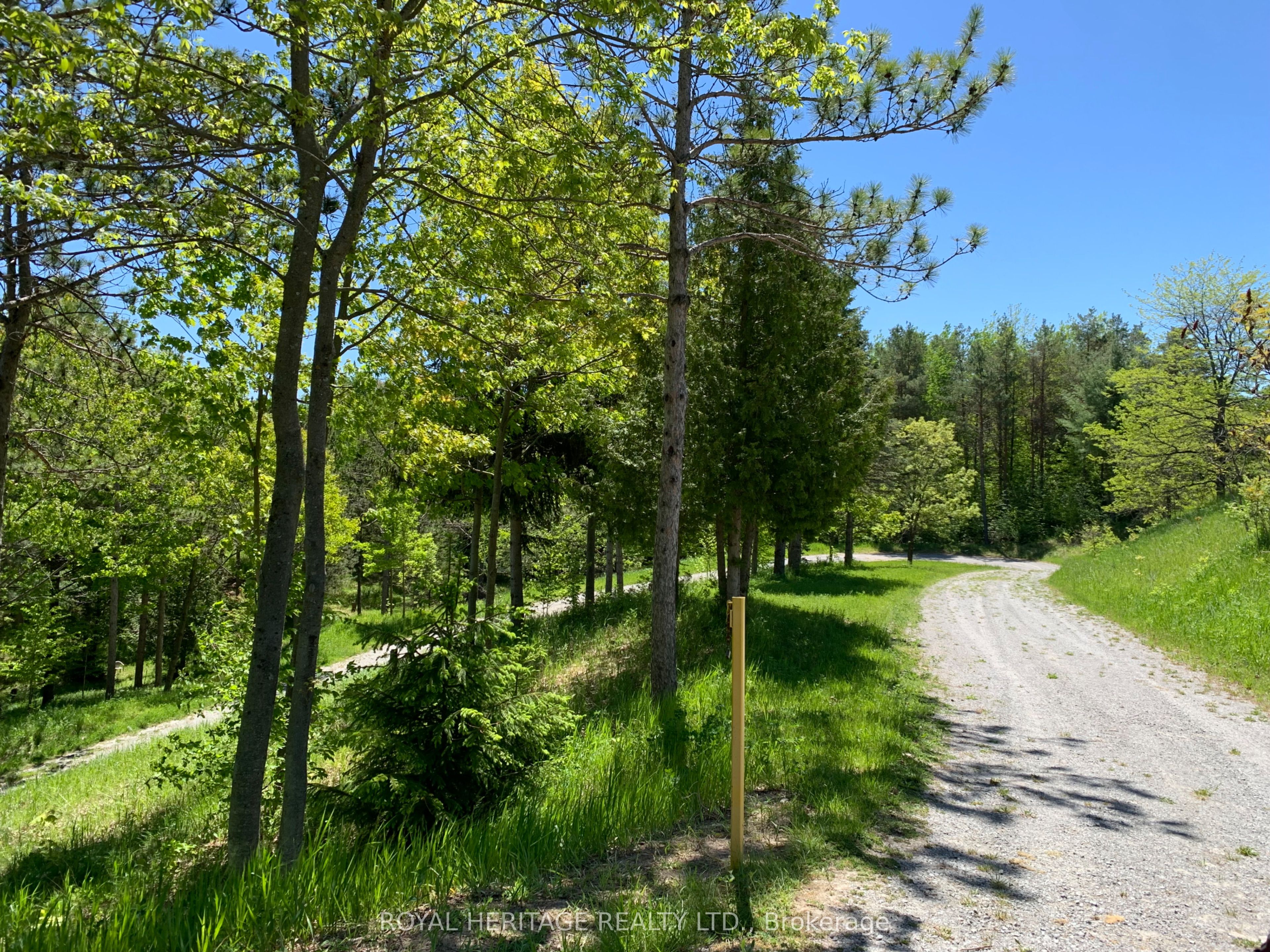 6677 CONCESSION 2 Road, Uxbridge, ON L6P 0H6 photo 5