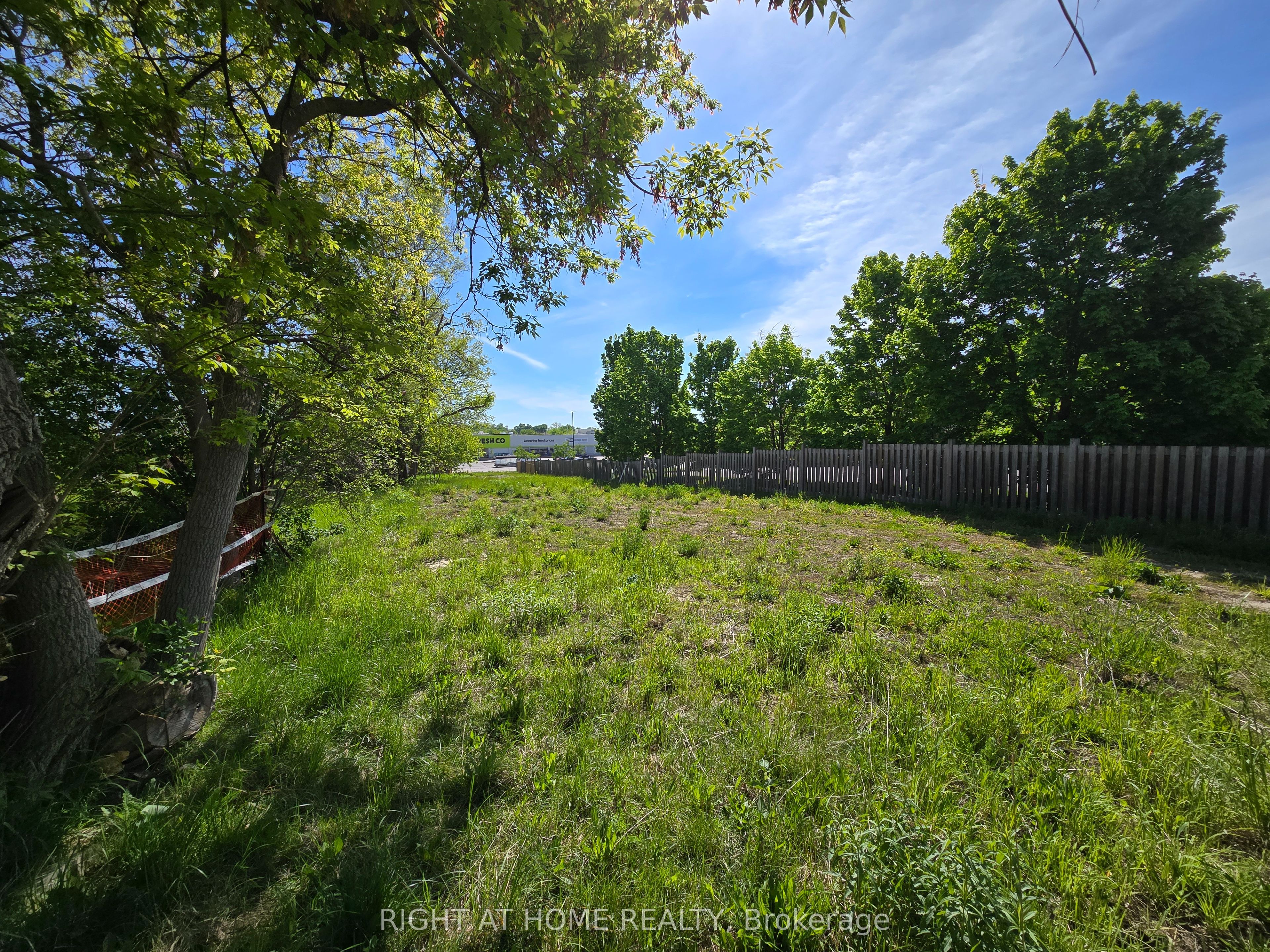 455 The Queensway South, Georgina, ON L4P 2C9 photo 3