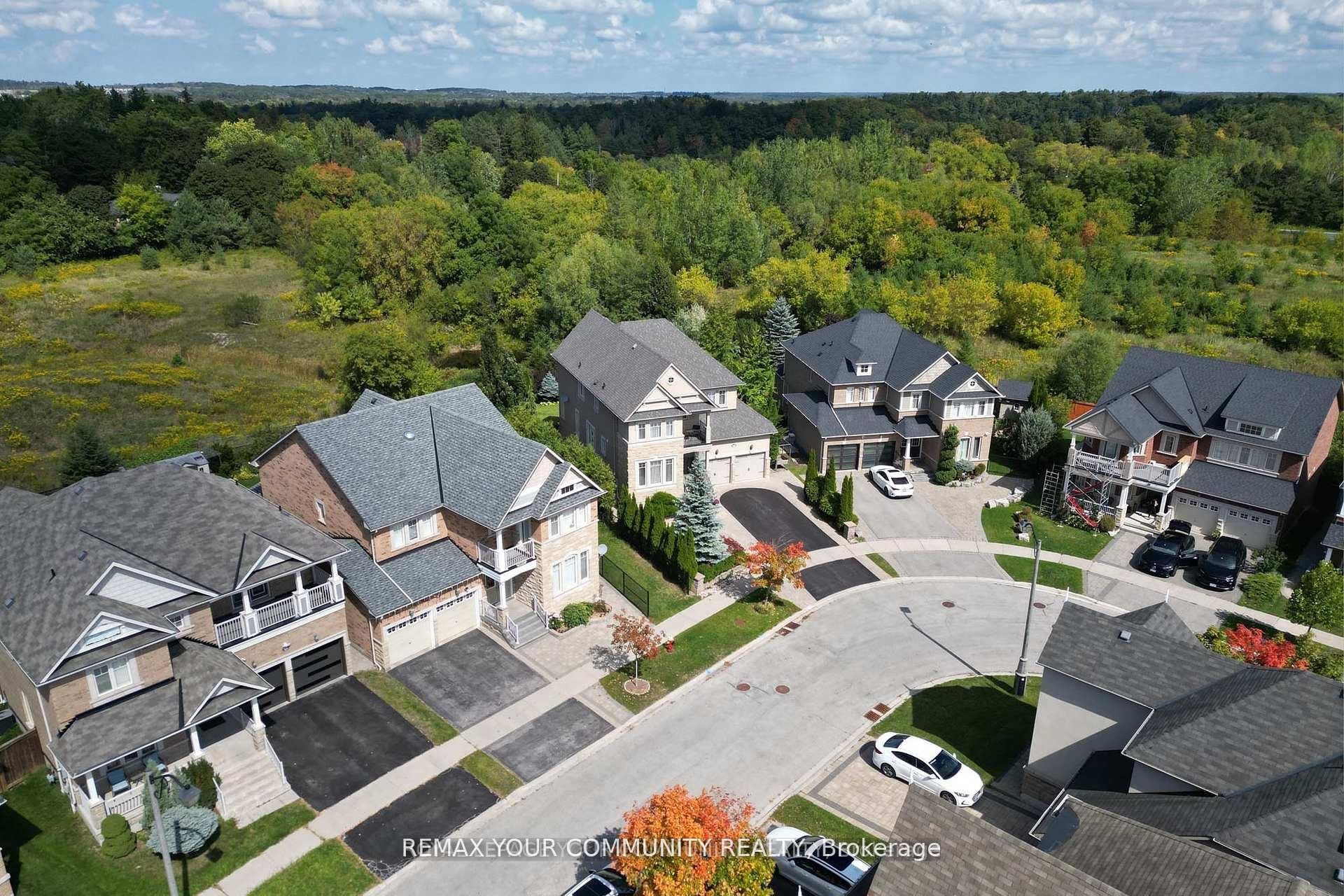 35 Vandervoort Drive, Richmond Hill, ON L4E 0C7 photo 5