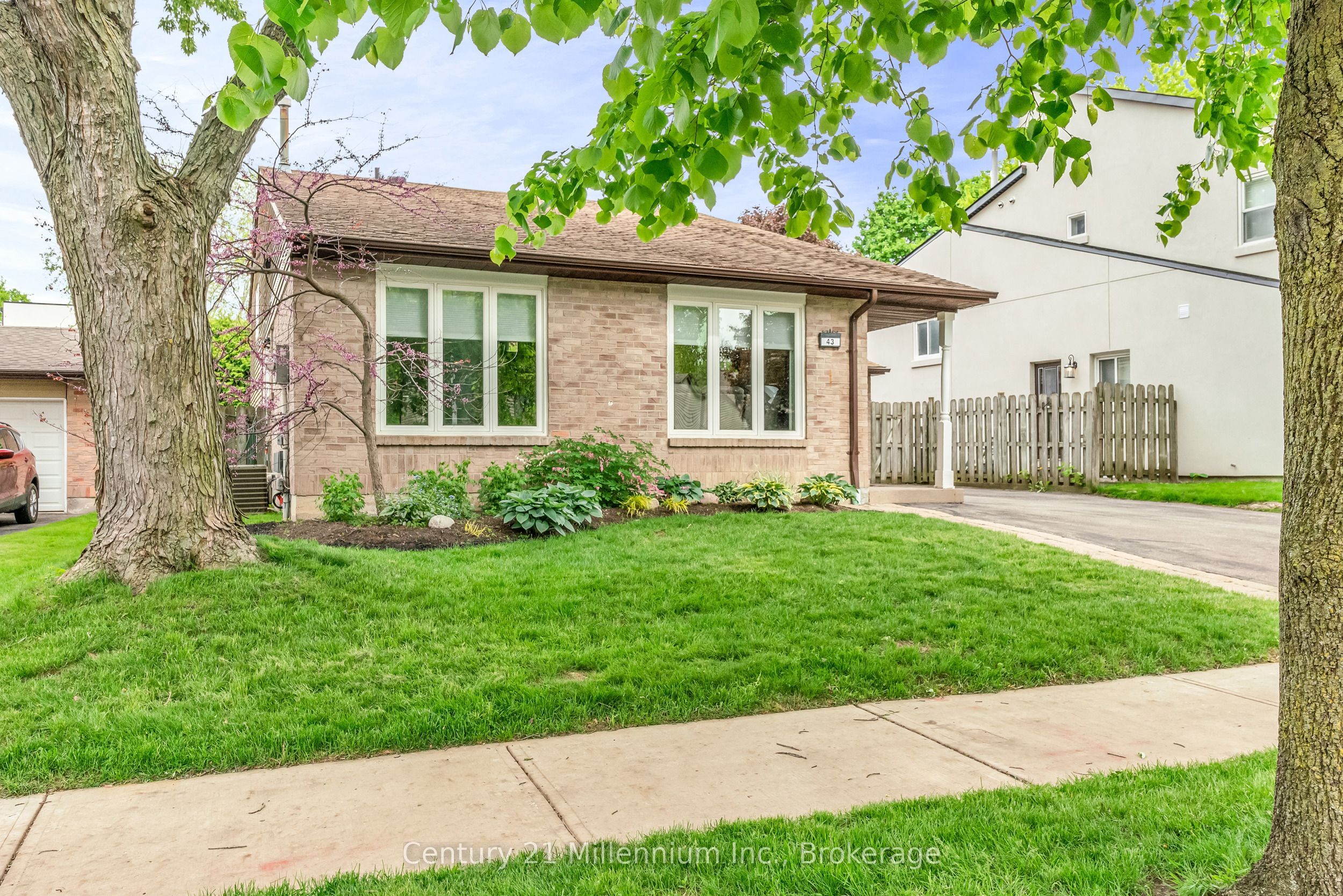 43 Stoddart Drive Drive, Aurora, ON L4G 2G2 photo 3