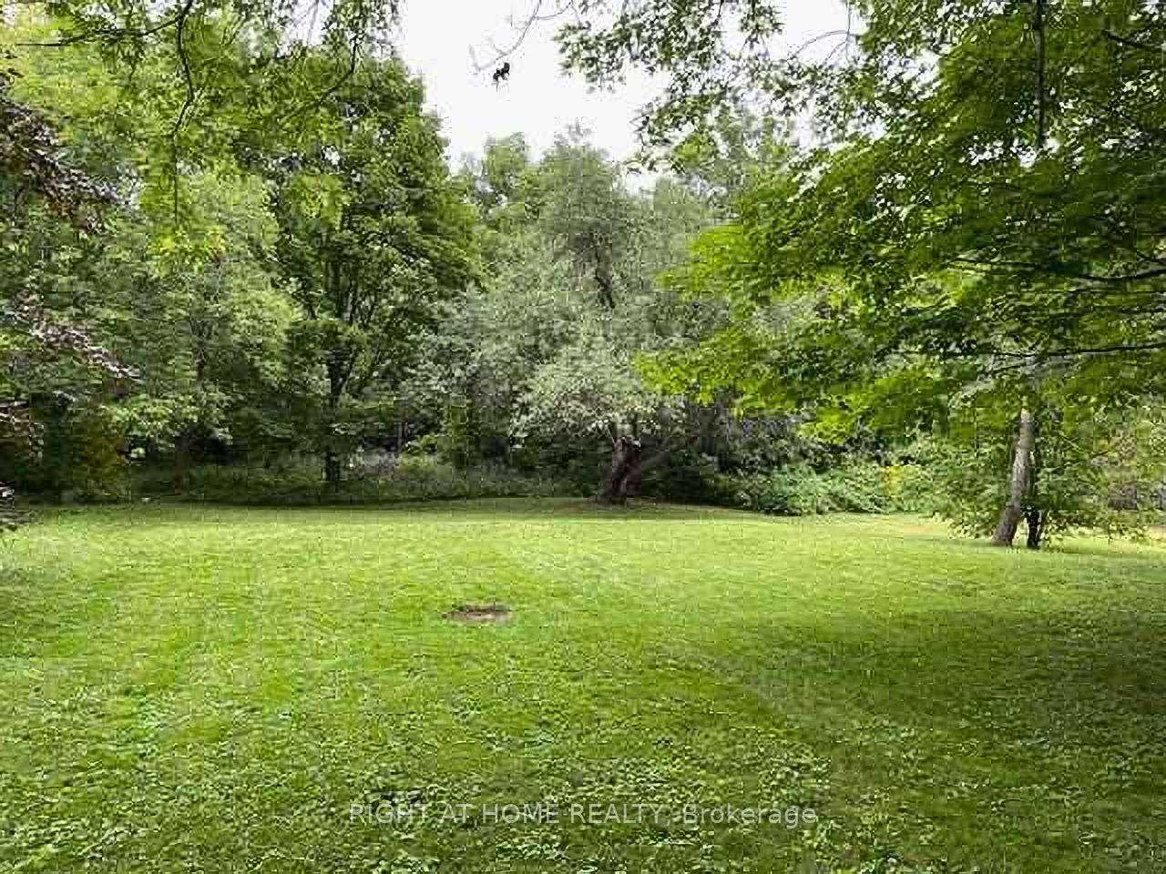 735 Srigley Street, Newmarket, ON L3Y 1X6 photo 2