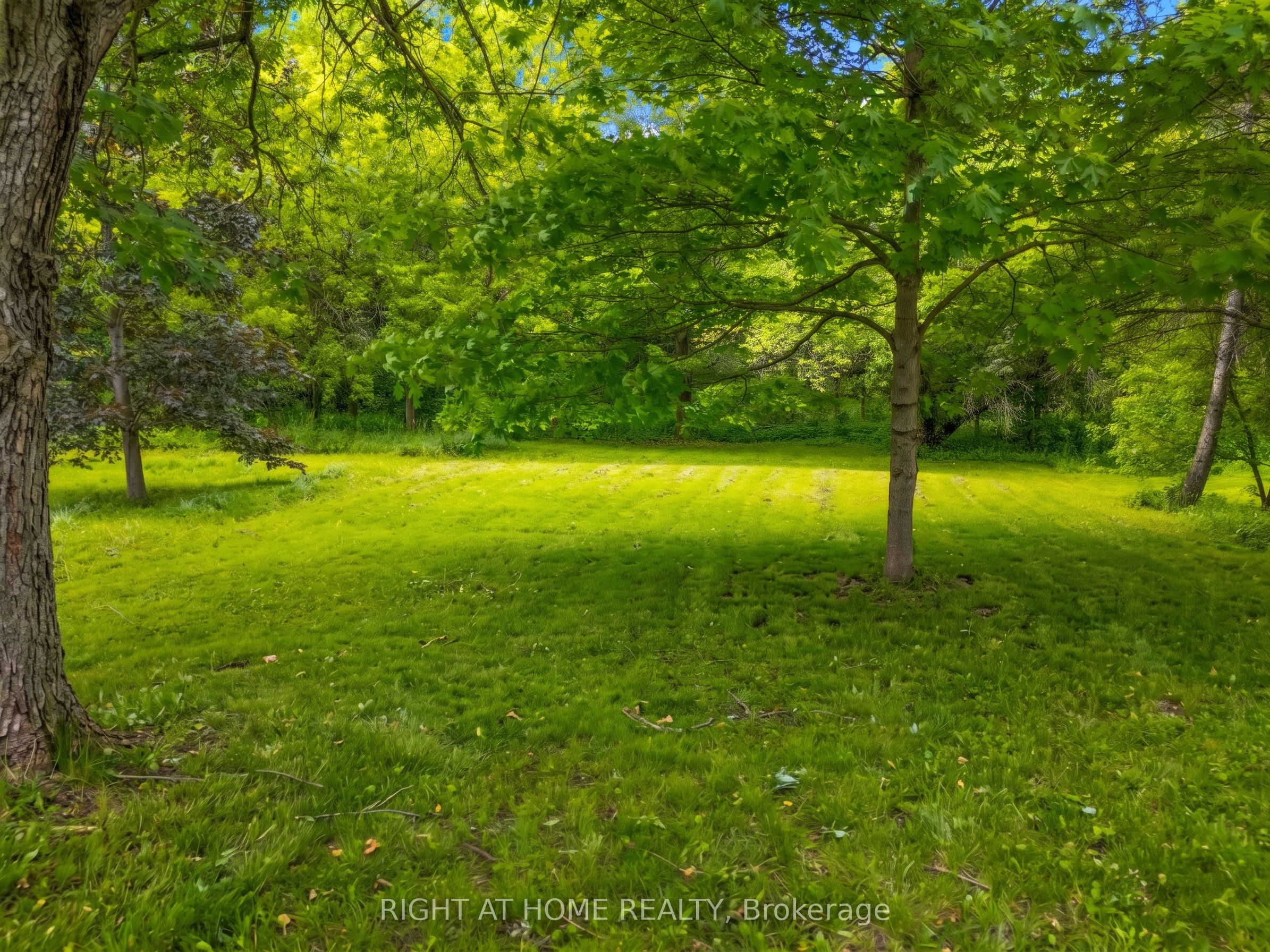 735 Srigley Street, Newmarket, ON L3Y 1X6 photo 4