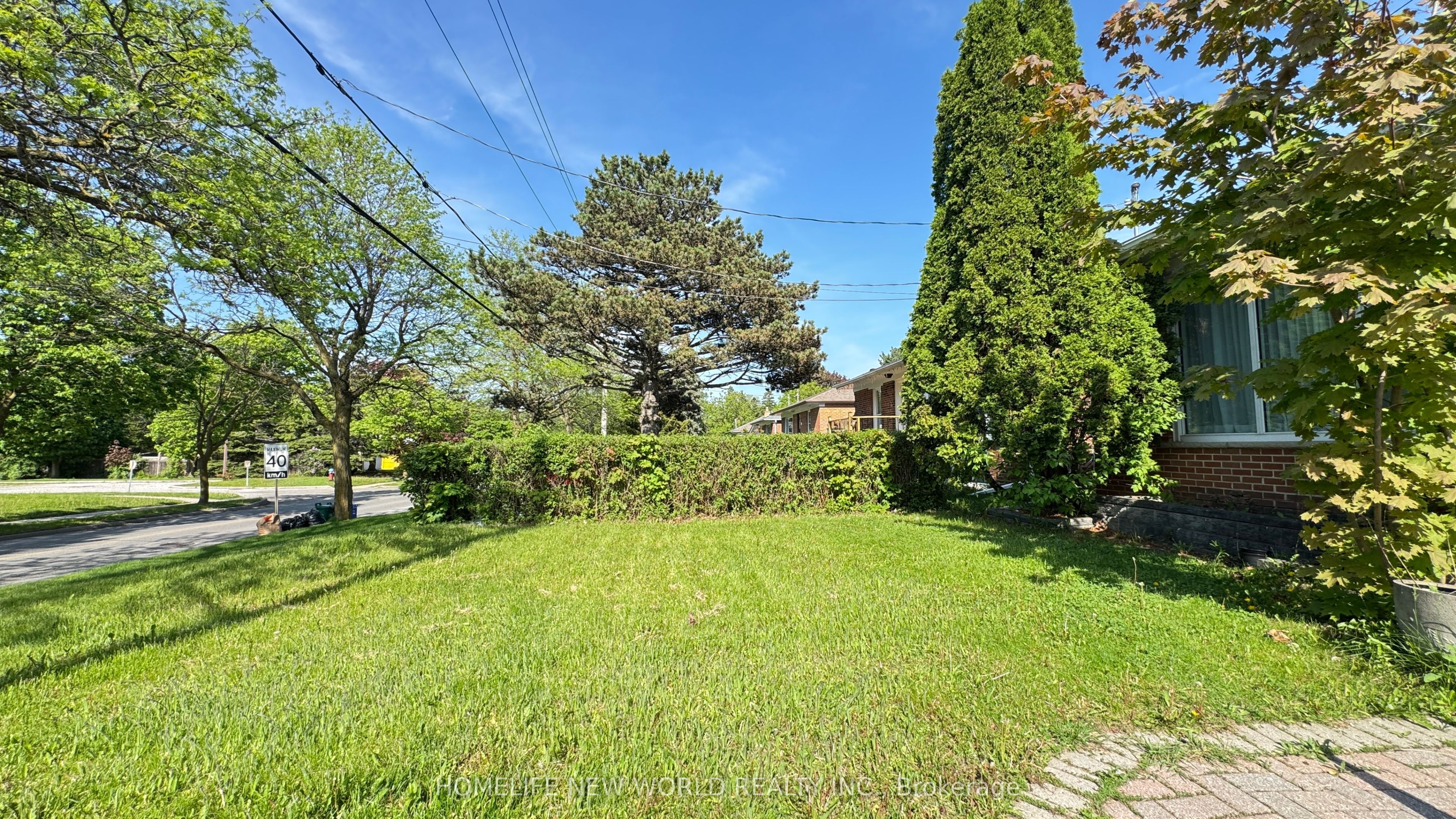 326 Crosby Avenue Lower, Richmond Hill, ON L4C 2R7 photo 2