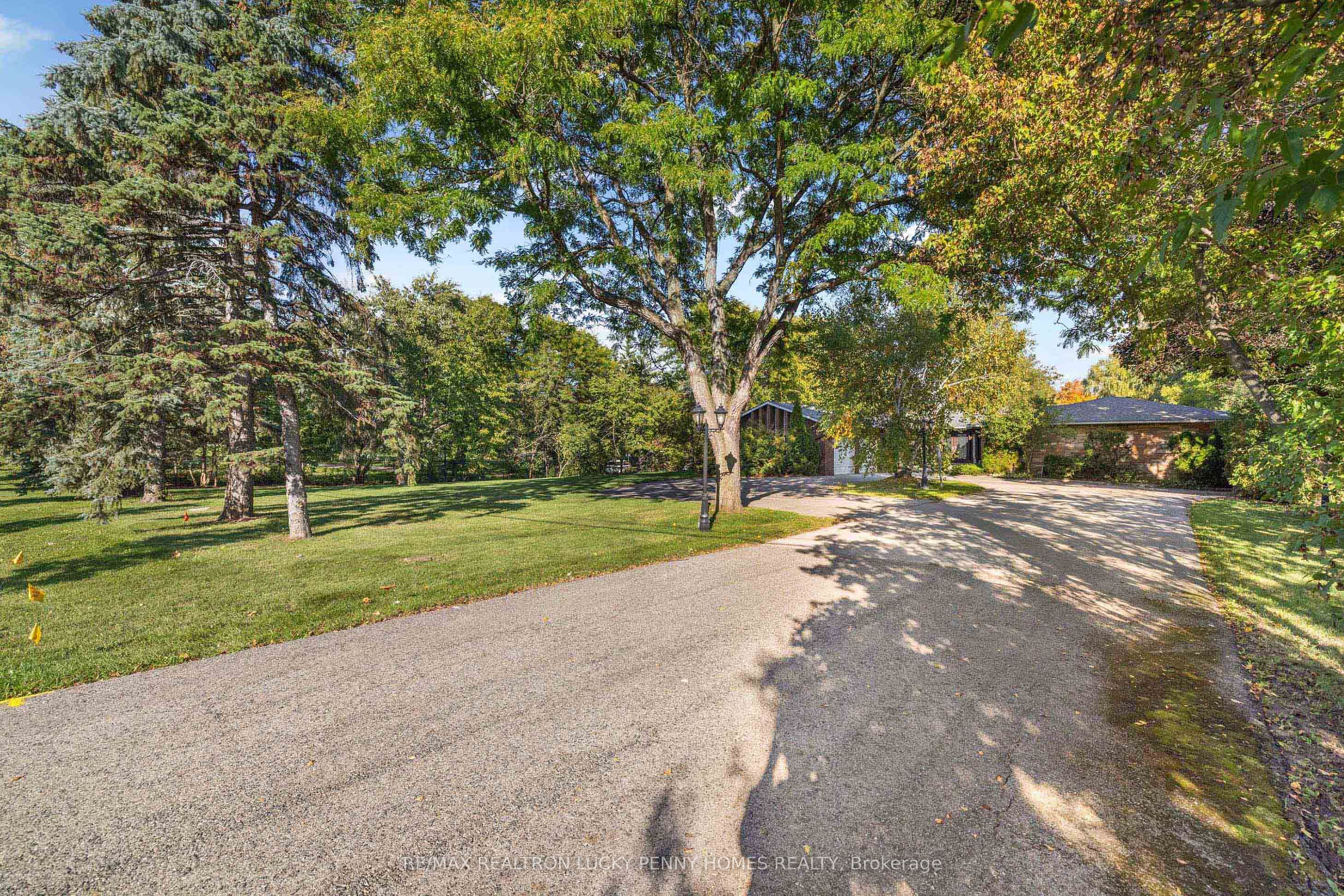 9799 Warden Avenue, Markham, ON L6C 1M6 photo 5