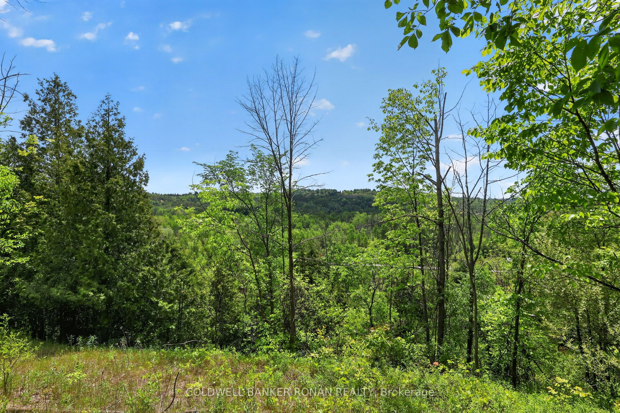 2946 Concession Rd 3 N/A, Adjala-Tosorontio, ON L0G 1L0 photo 5