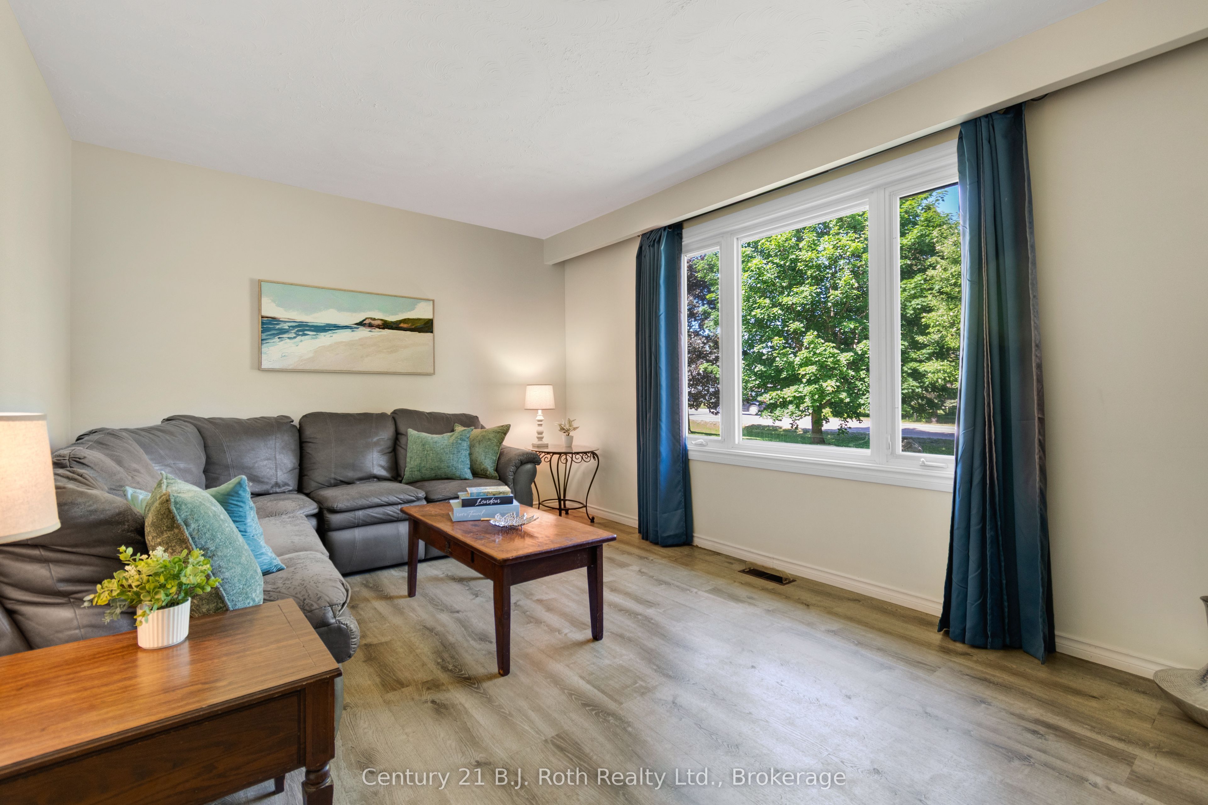 807 Cook Street, Innisfil, ON L9S 2J1 photo 4