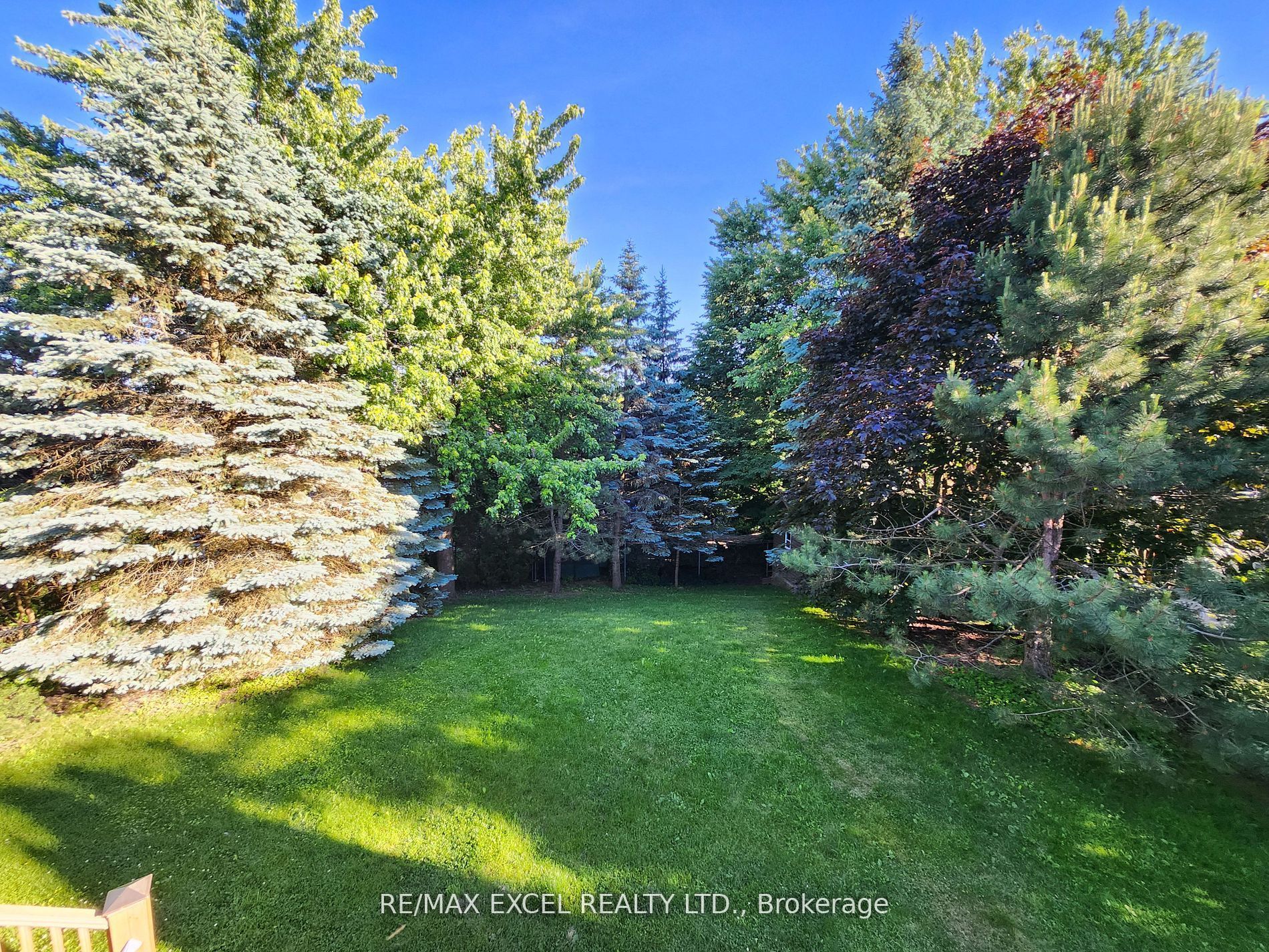 316 Alex Doner Drive Main, Newmarket, ON L3X 1G4 photo 2