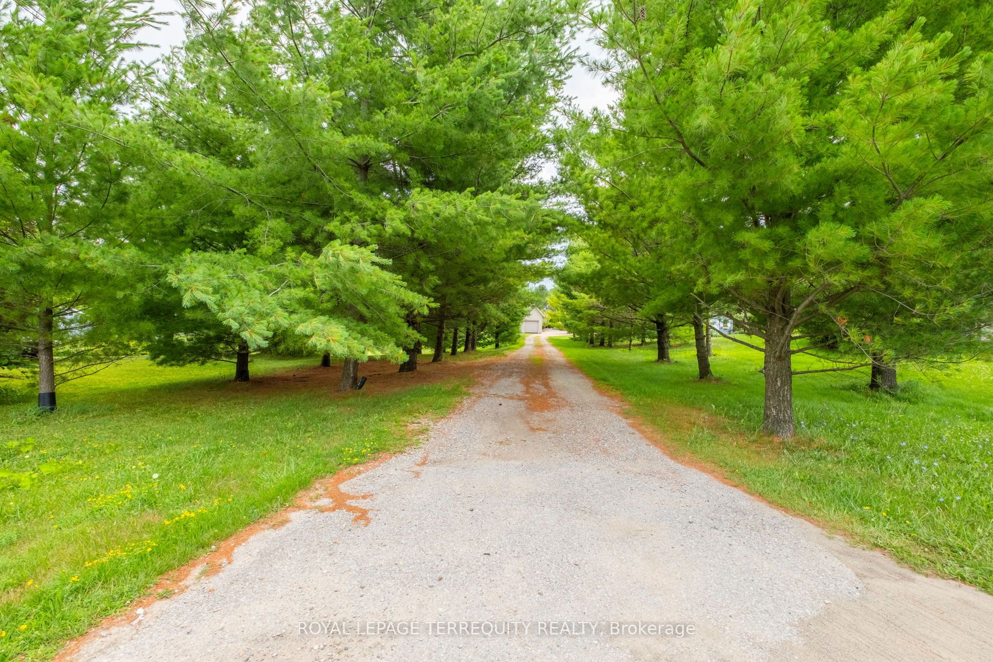 1041 15 Side Road, New Tecumseth, ON L0G 1T0 photo 4