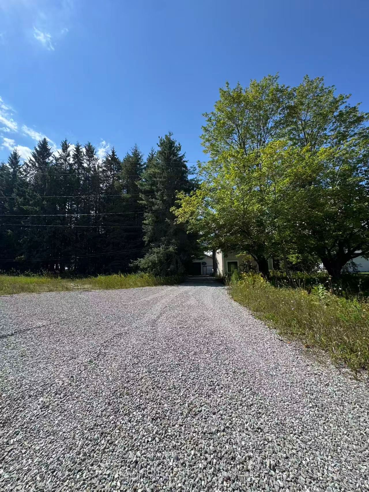 4910 Hwy 47, Uxbridge, ON L9P 1R4 photo 4