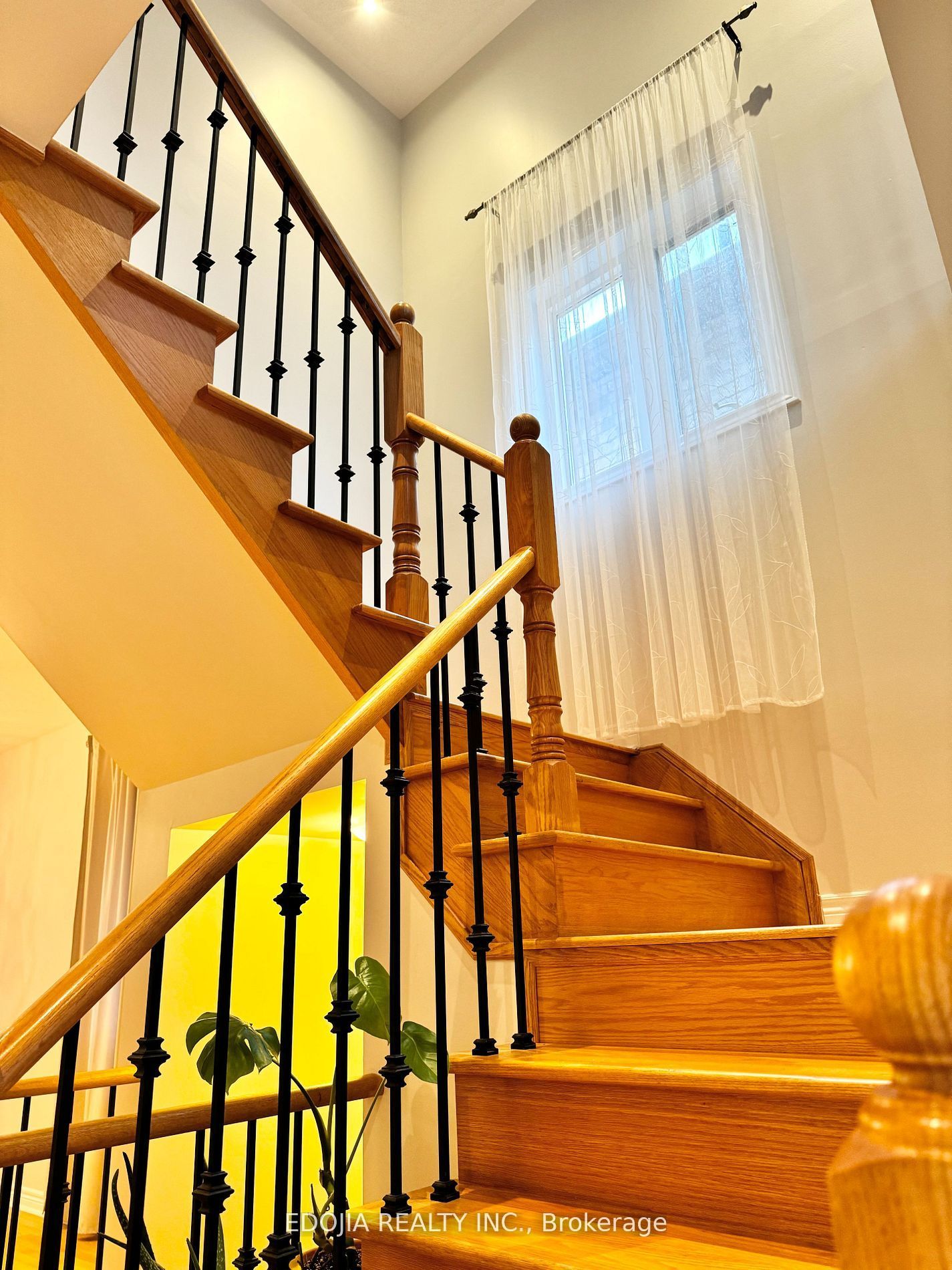 15 Catalpa Crescent Main, Vaughan, ON L6A 0R3 photo 3