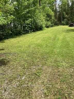 566 Cedar Smoke Road, Georgina Islands, ON L4P 0J7 photo 4