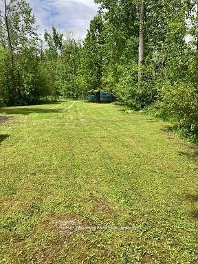 566 Cedar Smoke Road, Georgina Islands, ON L4P 0J7 photo 5