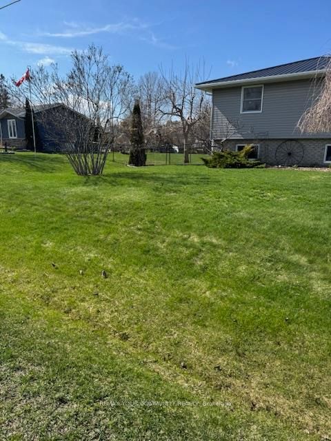72 Douglas Street, Georgina, ON L0E 2R0 photo 3
