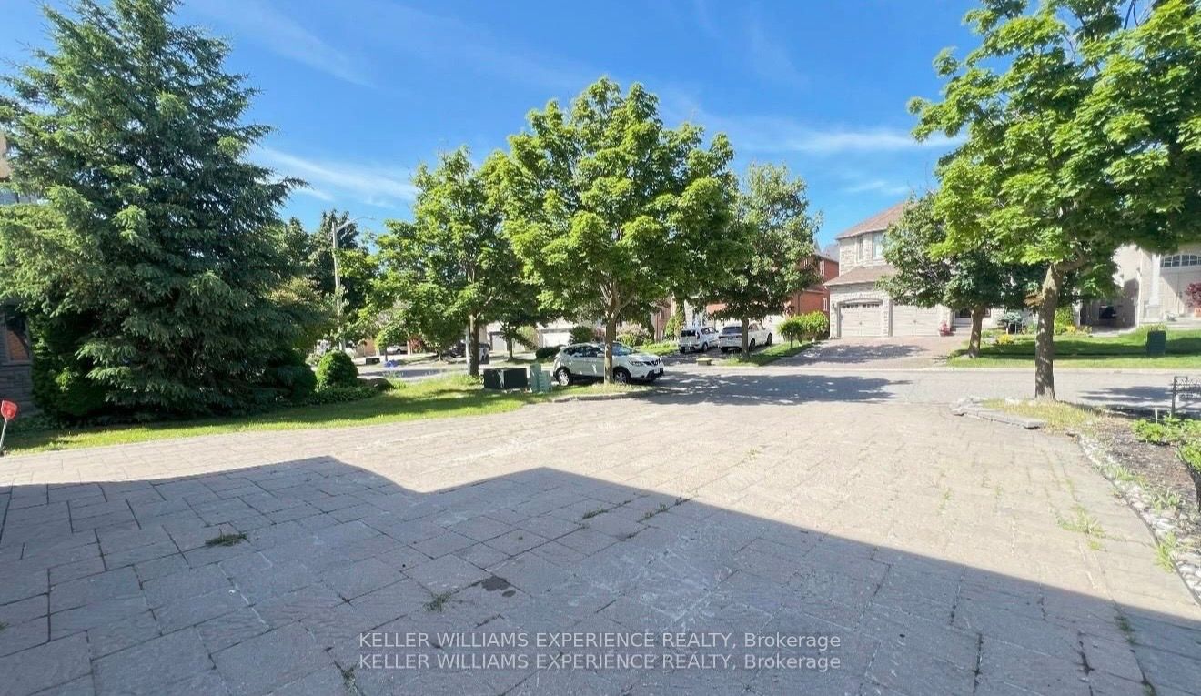 44 Alpine Crescent BSMT, Richmond Hill, ON L4S 1W4 photo 2