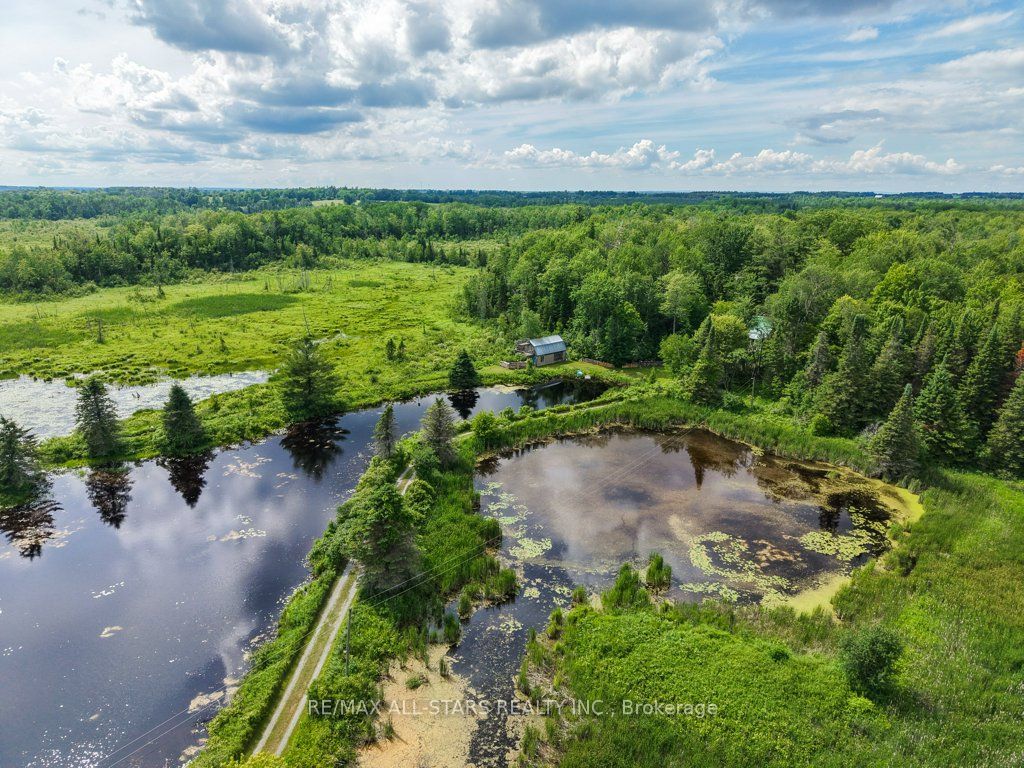 9388 Ravenshoe Road, Georgina, ON L9P 1R2 photo 3