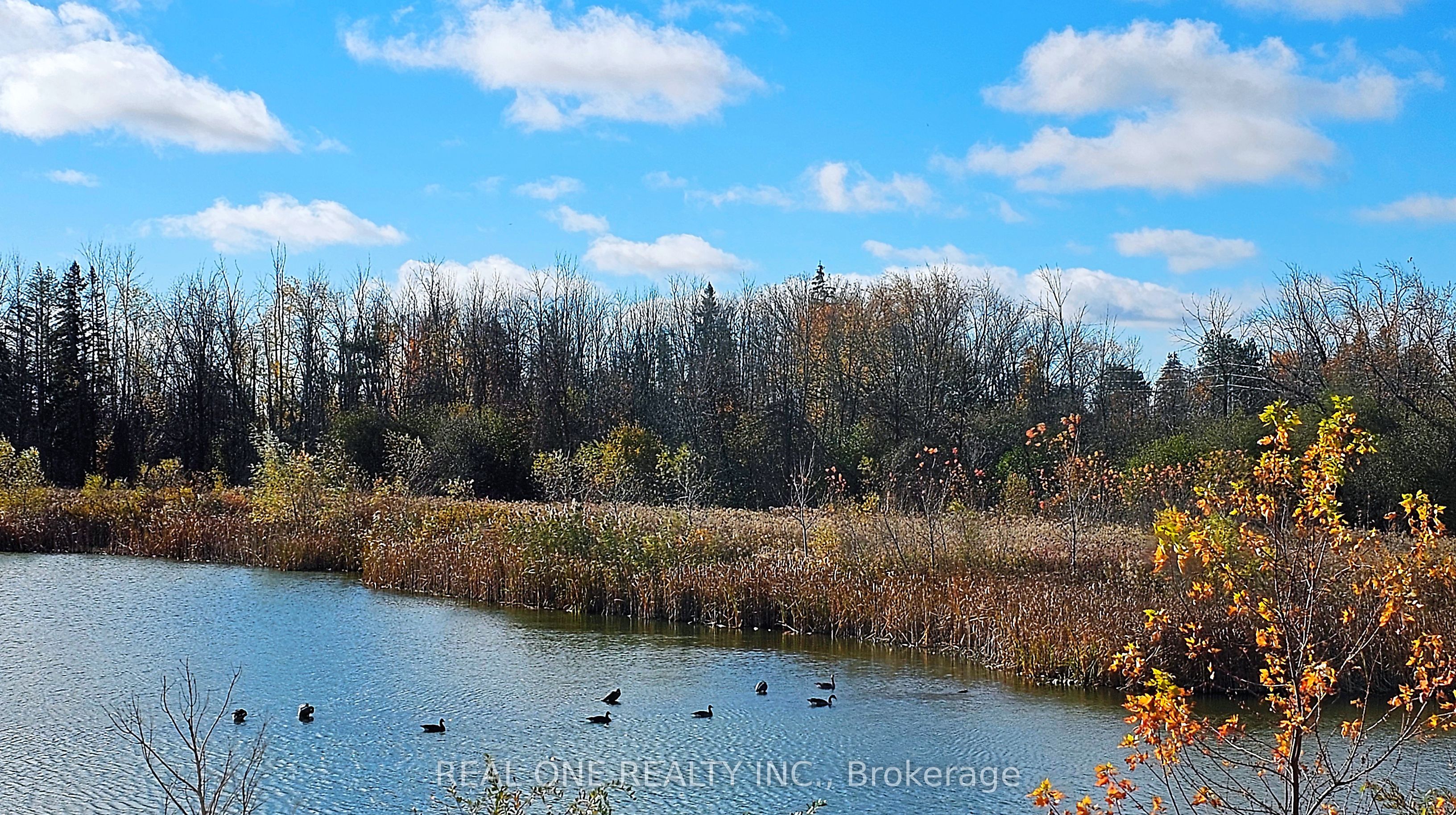 85 Riley Reed Lane, Richmond Hill, ON L4S 0M3 photo 2