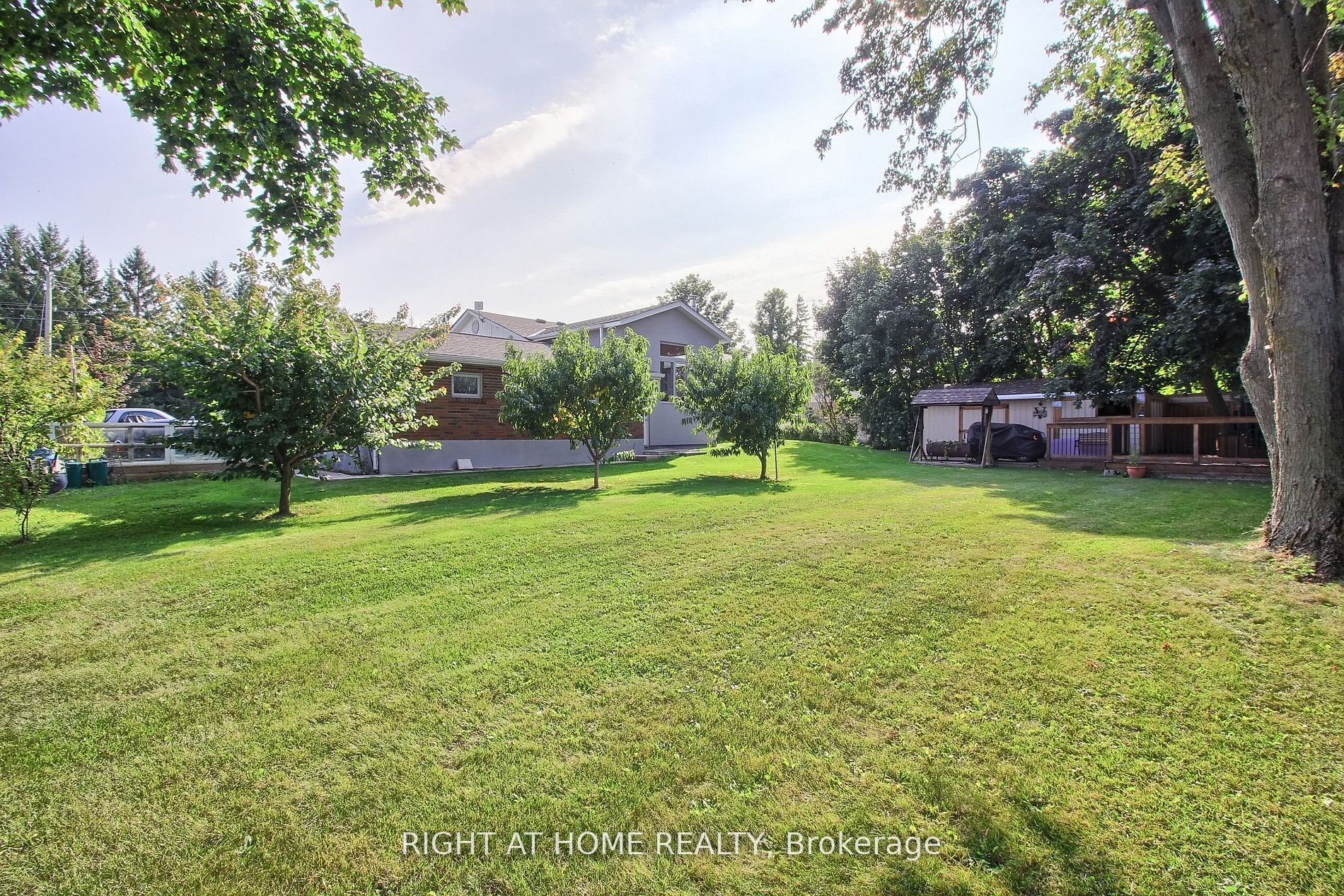 3800 County 88 Road, Bradford West Gwillimbury, ON L3Z 3K7 photo 5