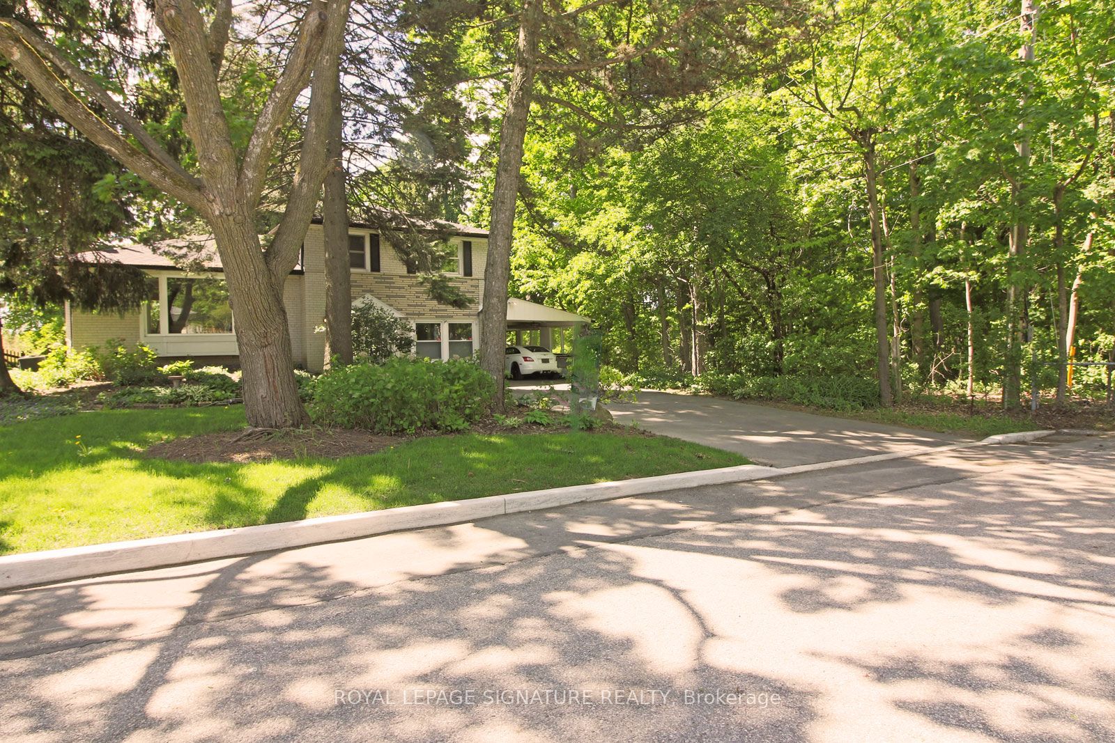 145 Drakefield Road, Markham, ON L3P 1G9 photo 3