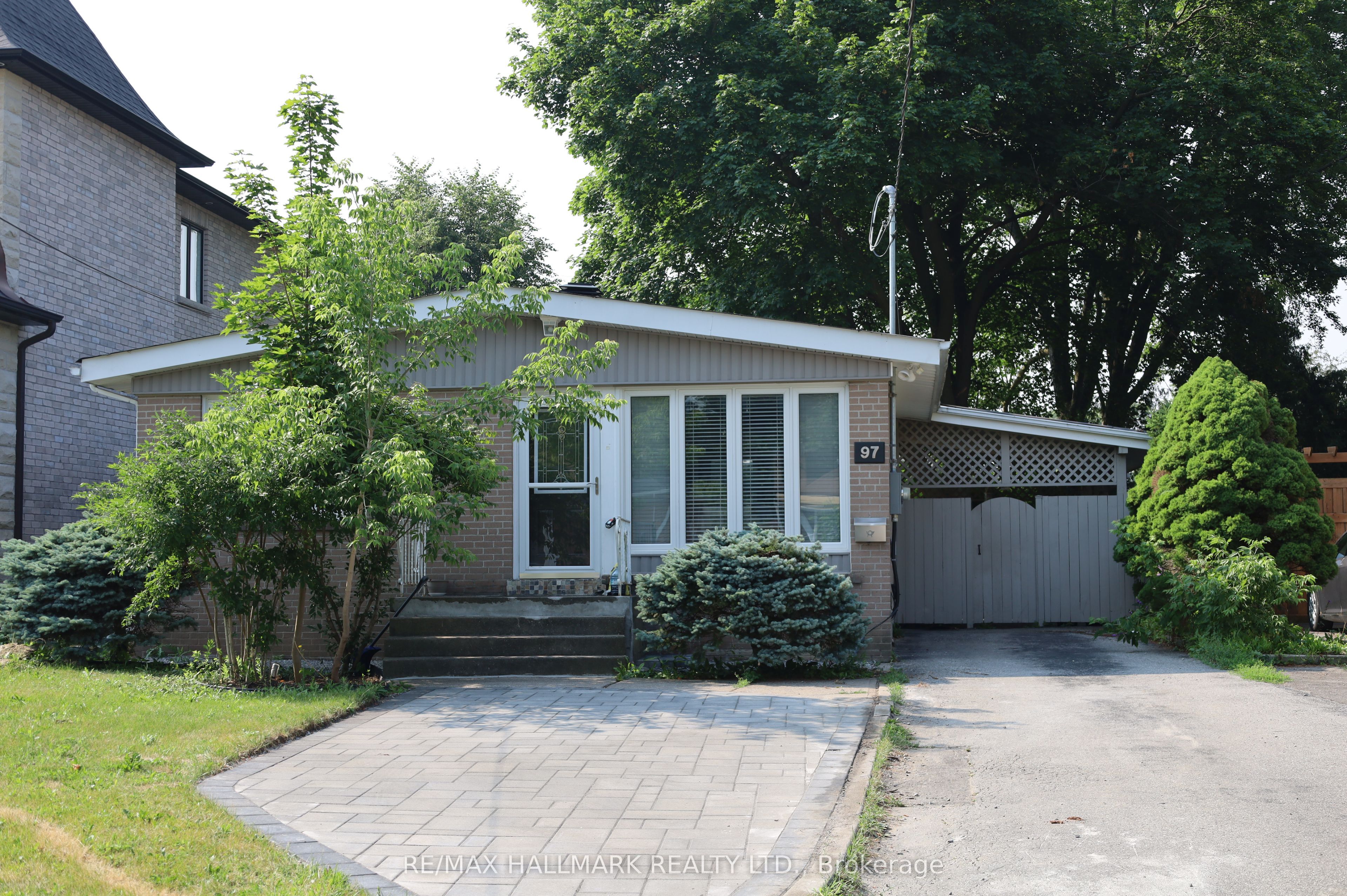 97 Cartier Crescent Main Fl, Richmond Hill, ON L4C 2N3 photo 2