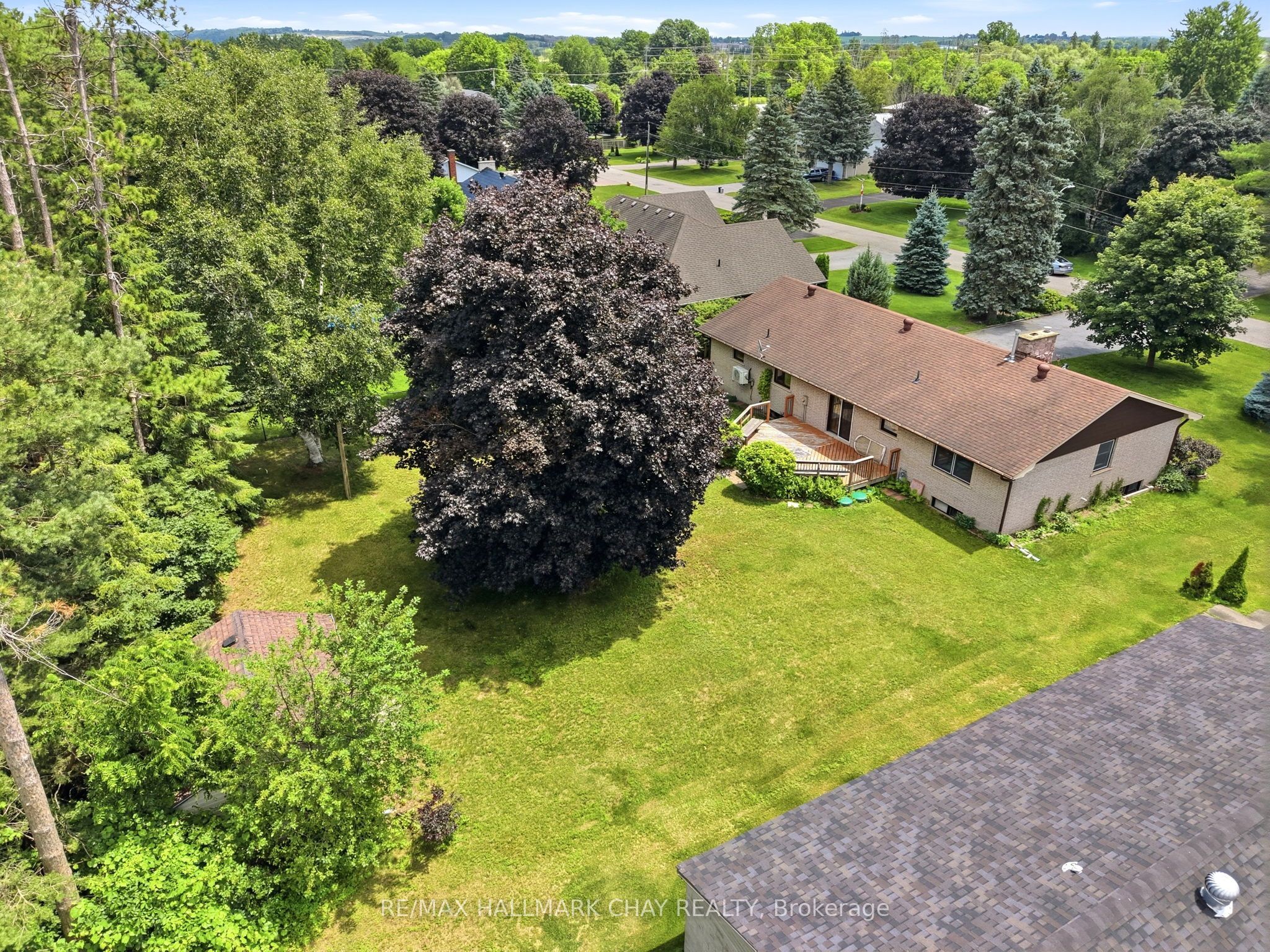 14 Douglas Drive, New Tecumseth, ON L9R 1J9 photo 5