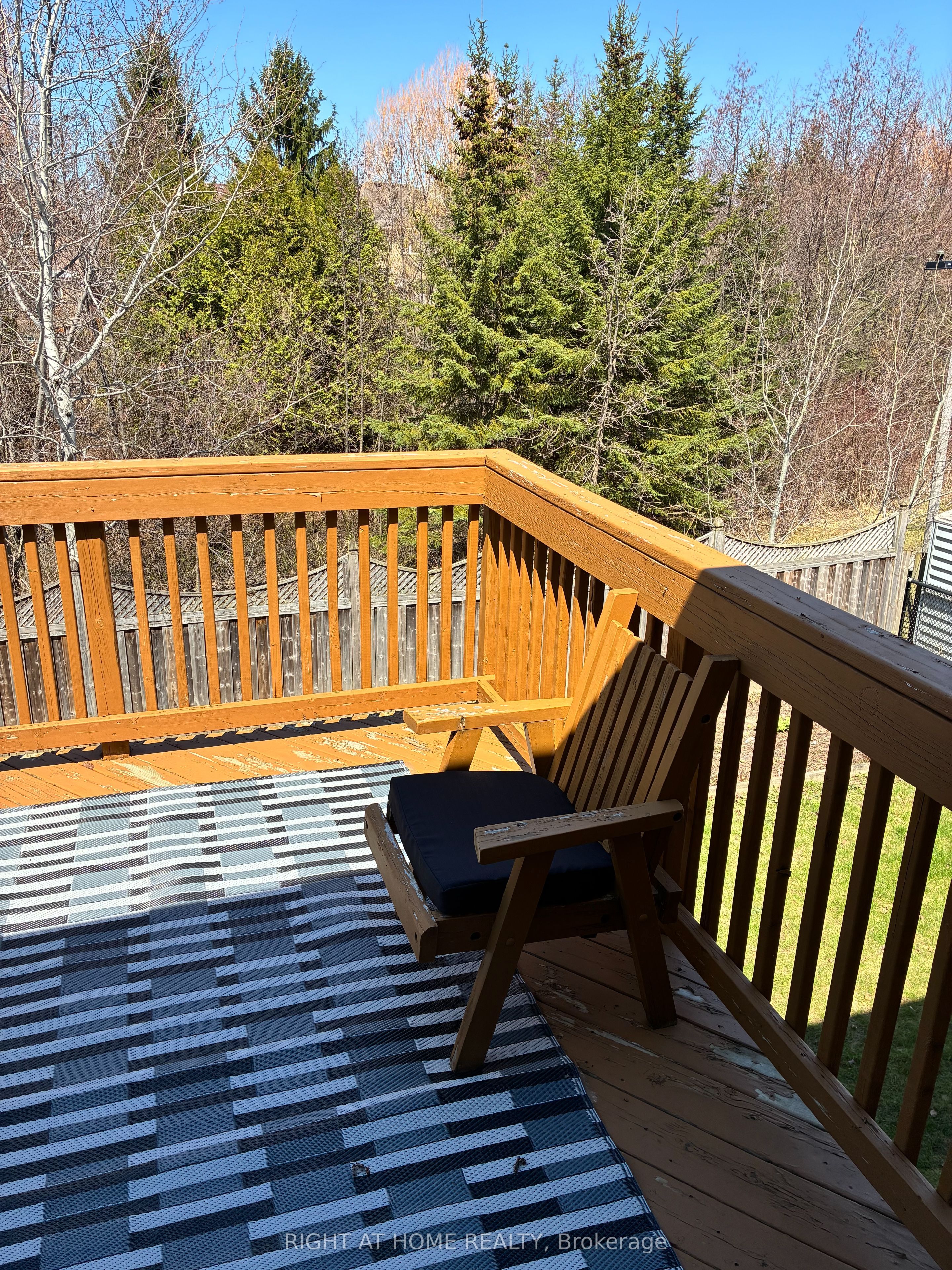 46 Woodhaven Crescent, Richmond Hill, ON L4E 3T2 photo 3