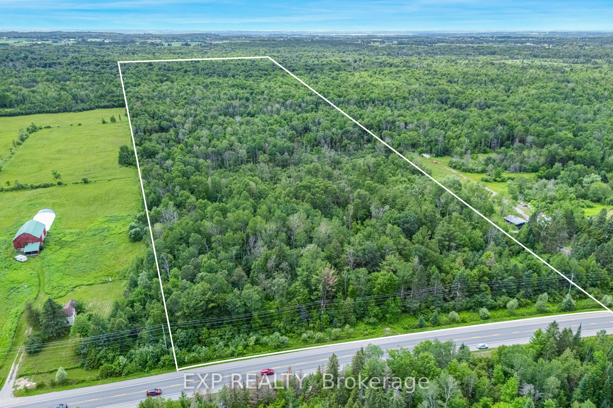 22262 Highway 48, East Gwillimbury, ON L0G 1M0 photo 3
