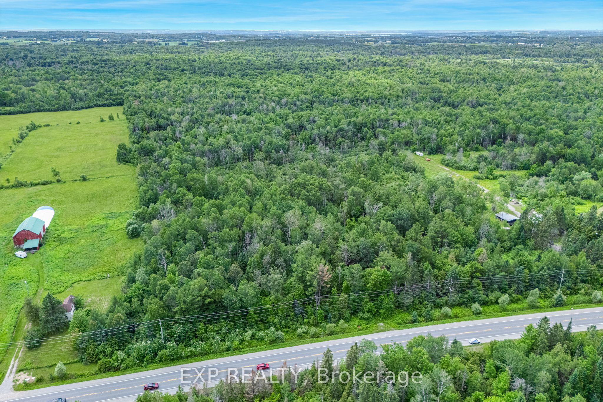 22262 Highway 48, East Gwillimbury, ON L0G 1M0 photo 4