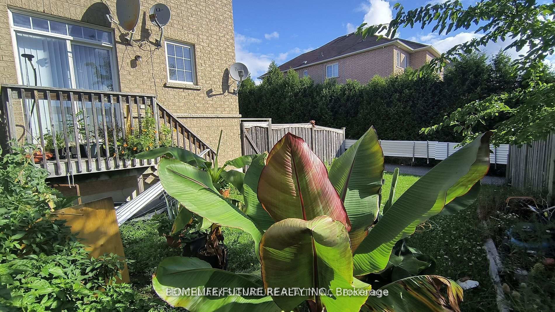 315 Elson Street, Markham, ON L3S 4S4 photo 3