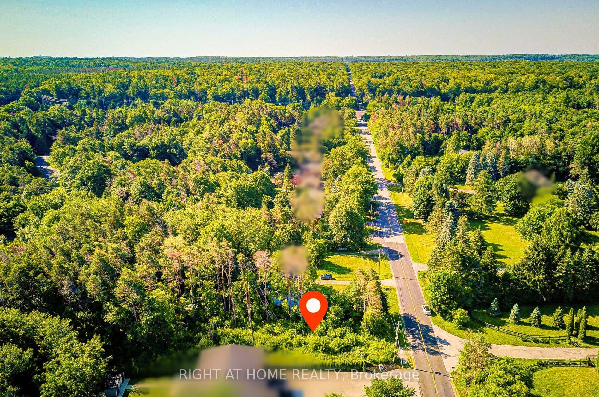 16895 Mccowan Road, Whitchurch-Stouffville, ON L0G 1E0 photo 3