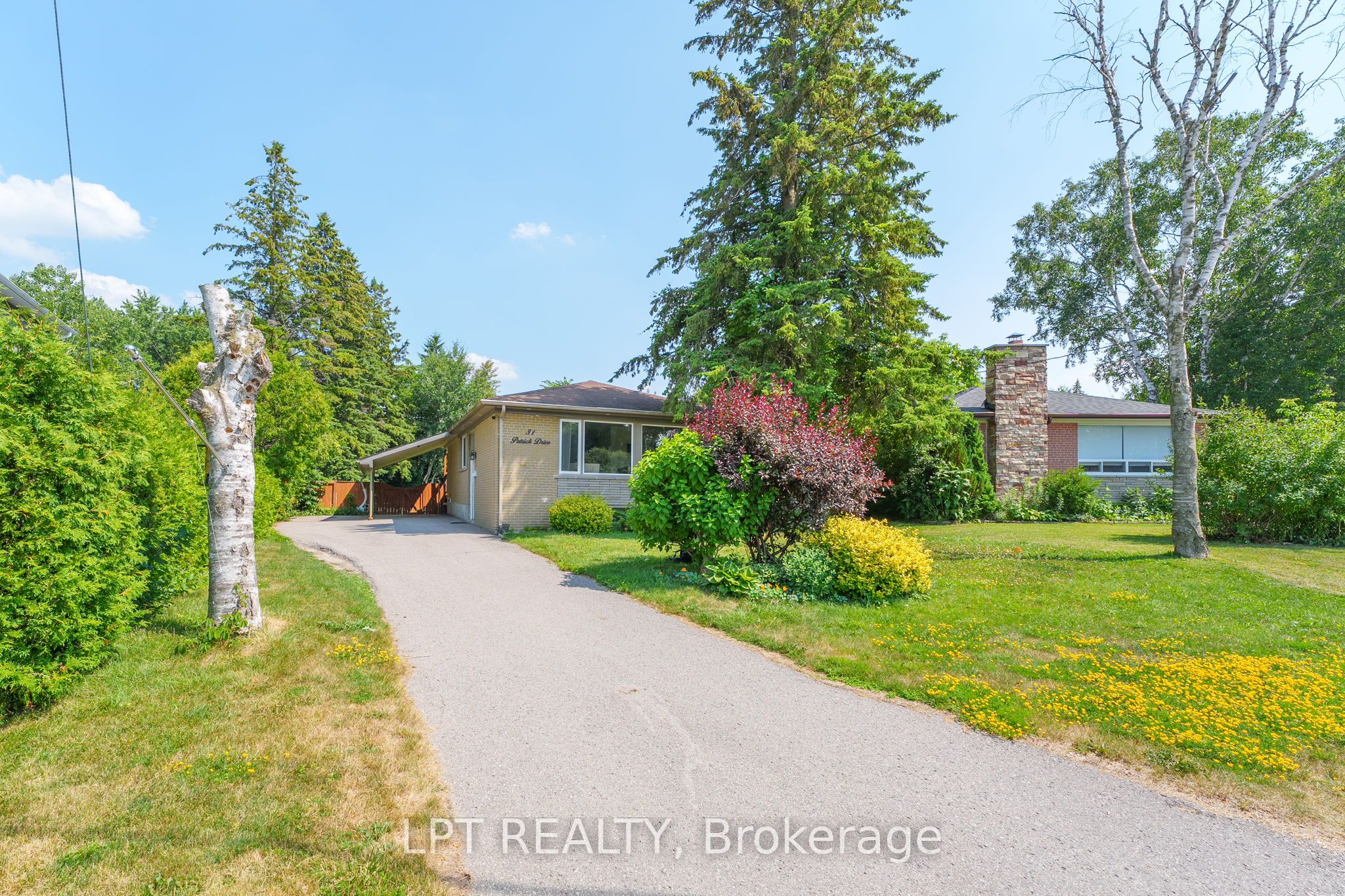 31 Patrick Drive, Aurora, ON L4G 2A6 photo 5