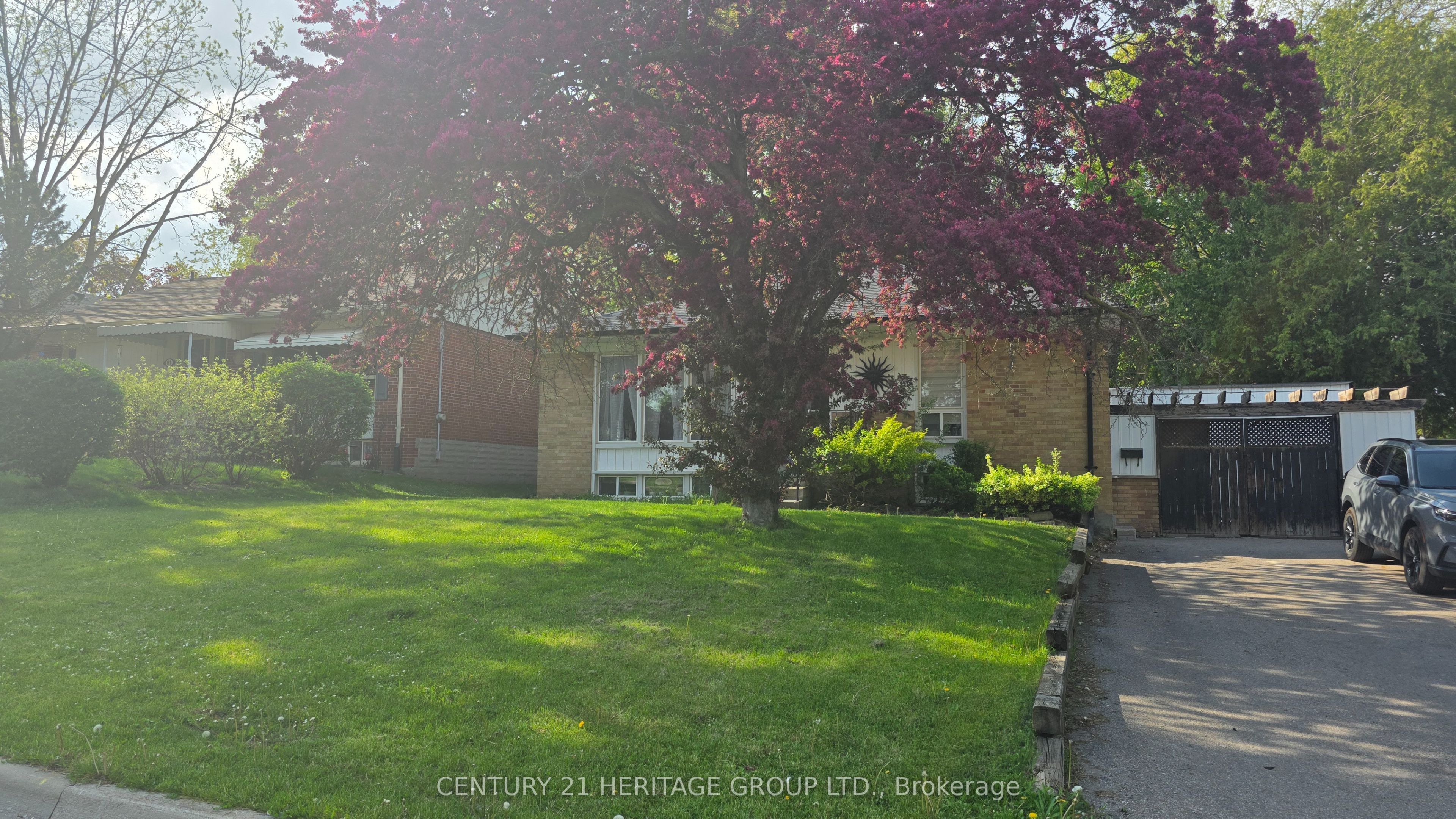 83 Monkswood Crescent Bsmnt, Newmarket, ON L3Y 2J9