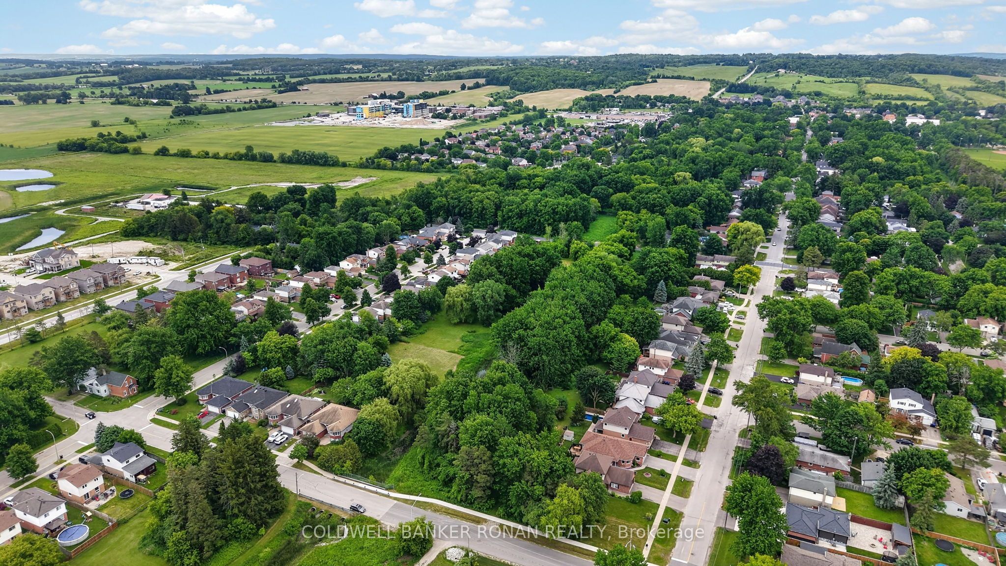 15 English Drive, New Tecumseth, ON L0G 1A0 photo 5