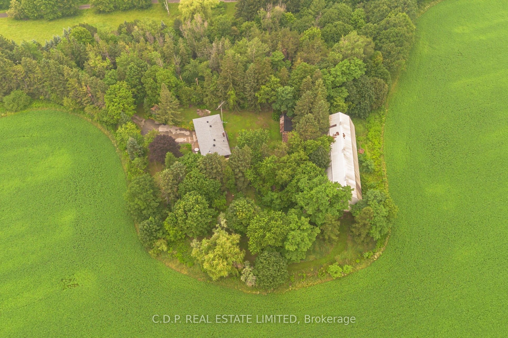 3228 Bloomington Road, Whitchurch-Stouffville, ON L4A 7X5 photo 3