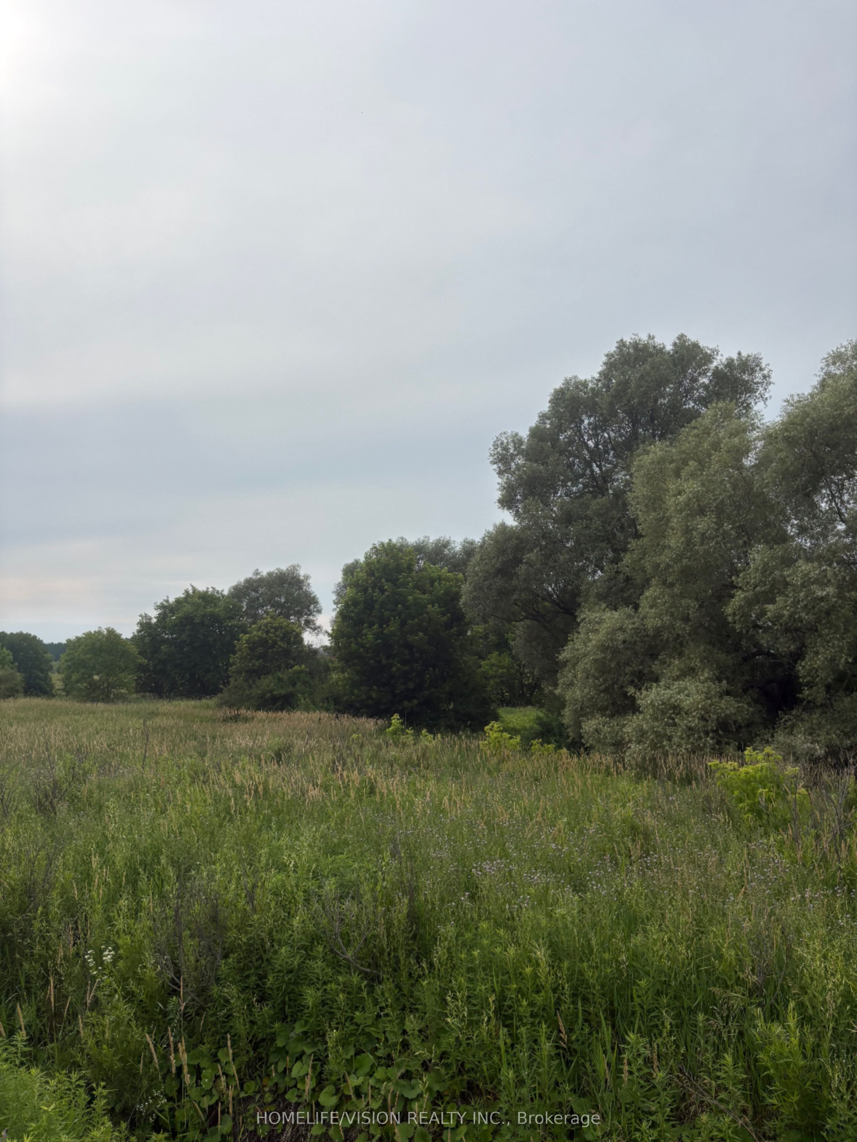 0 Highway 89 N/A, Innisfil, ON L0L 1L0 photo 4