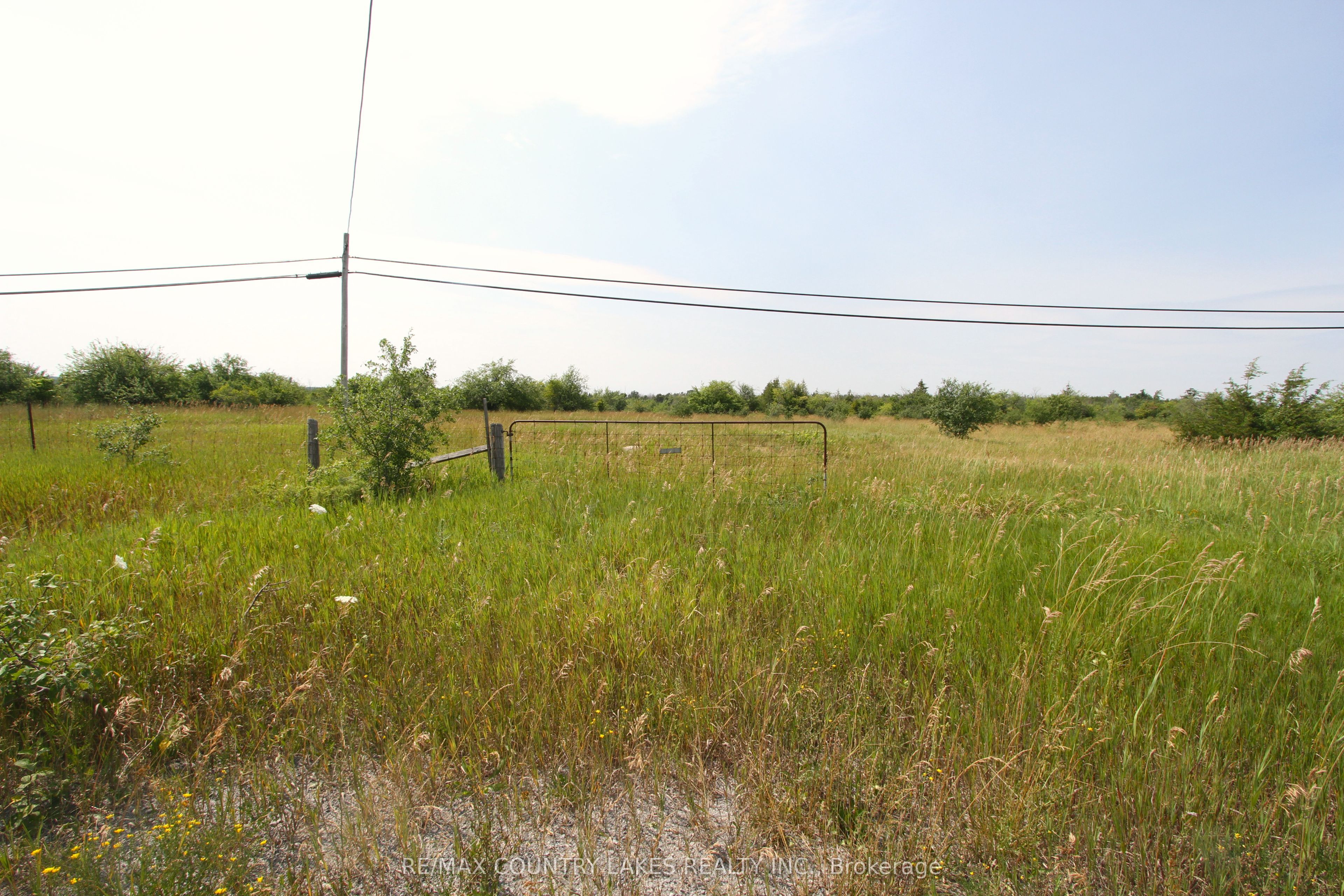 Lt7 County Road 48 N/A, Brock, ON L0K 1A0 photo 4