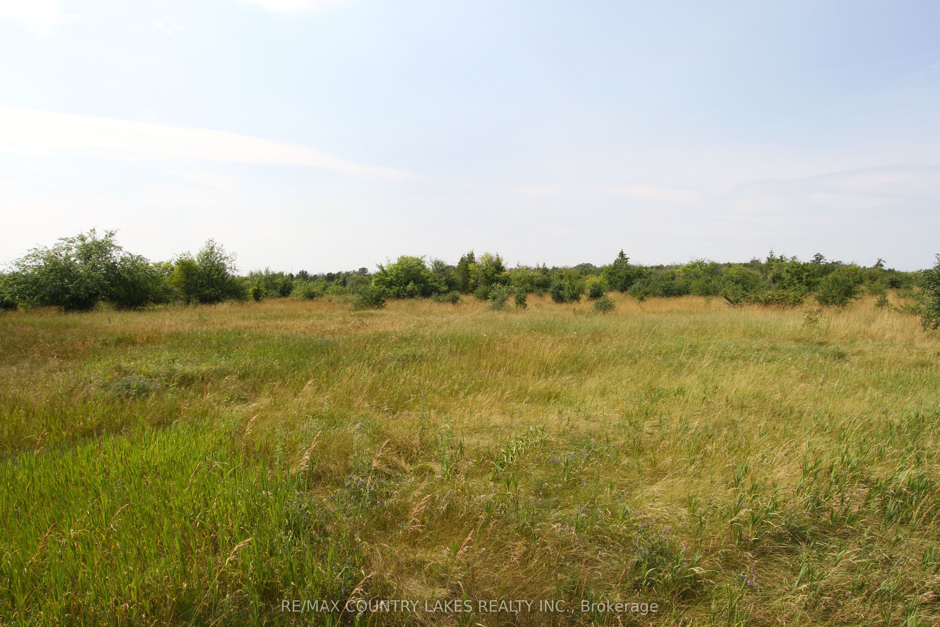 Lt7 County Road 48 N/A, Brock, ON L0K 1A0 photo 5