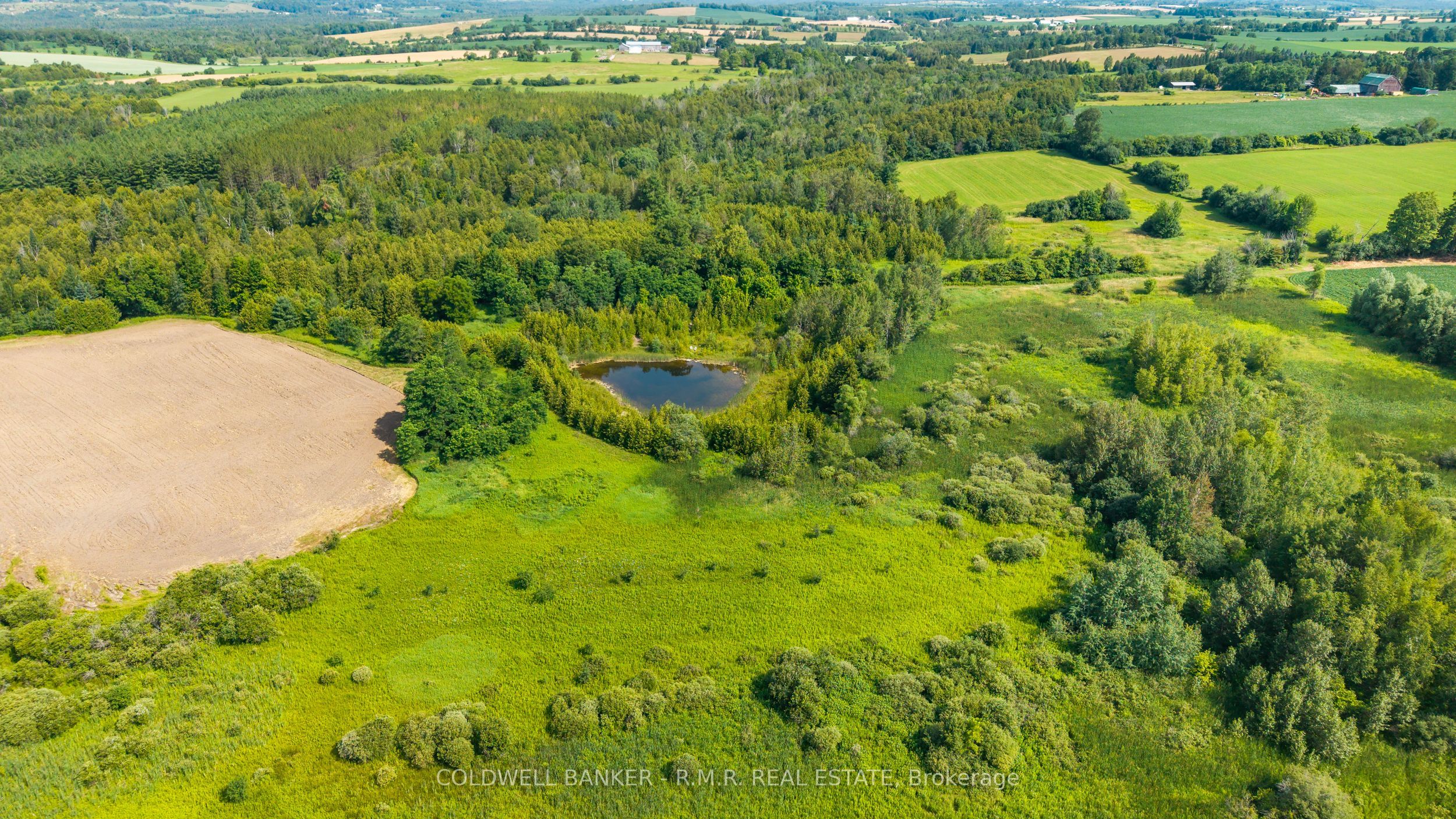 10400 and 10800 Concession 6 Road, Uxbridge, ON L9P 1R2 photo 4