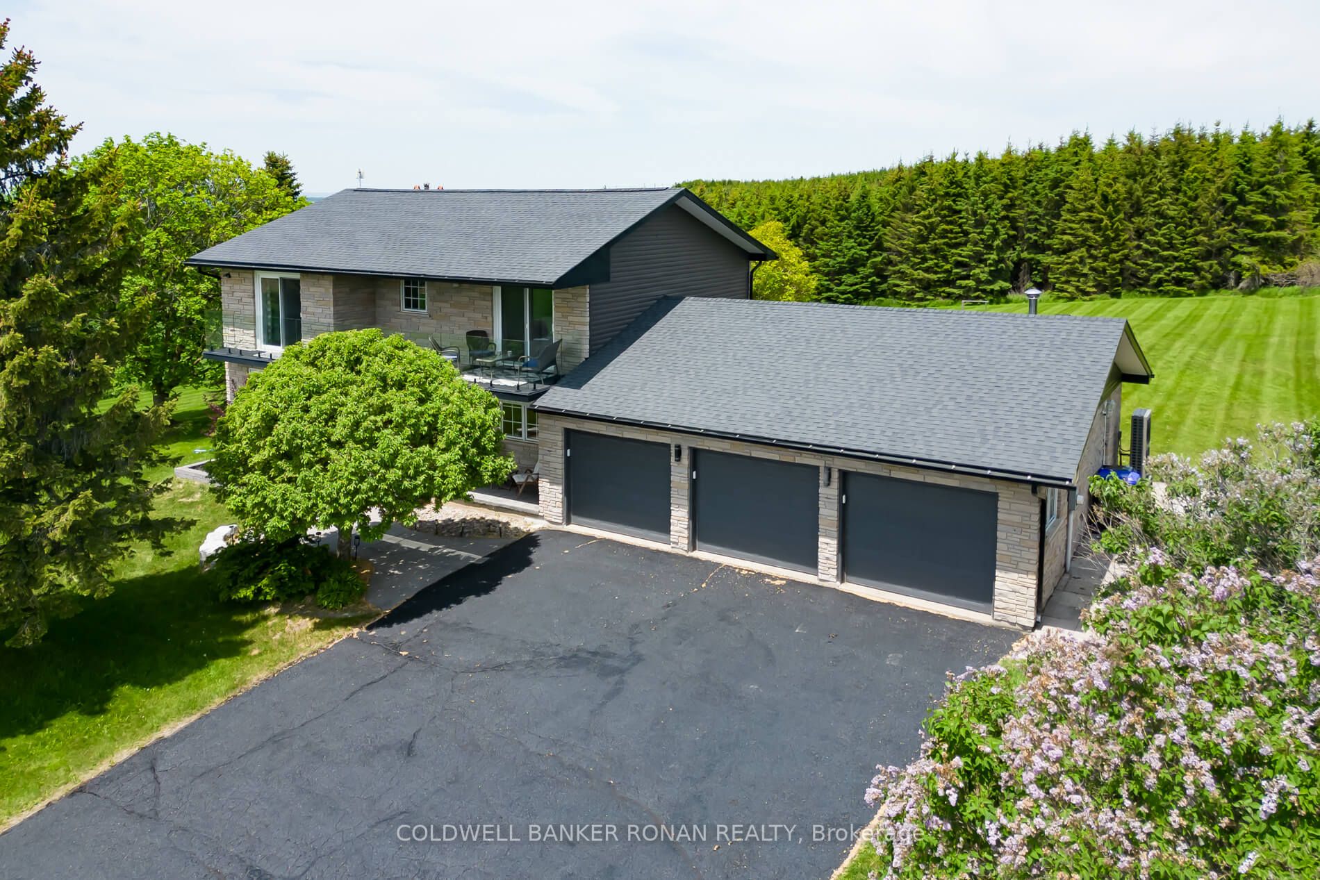 5676 14th Line, New Tecumseth, ON L0L 1L0 photo 3