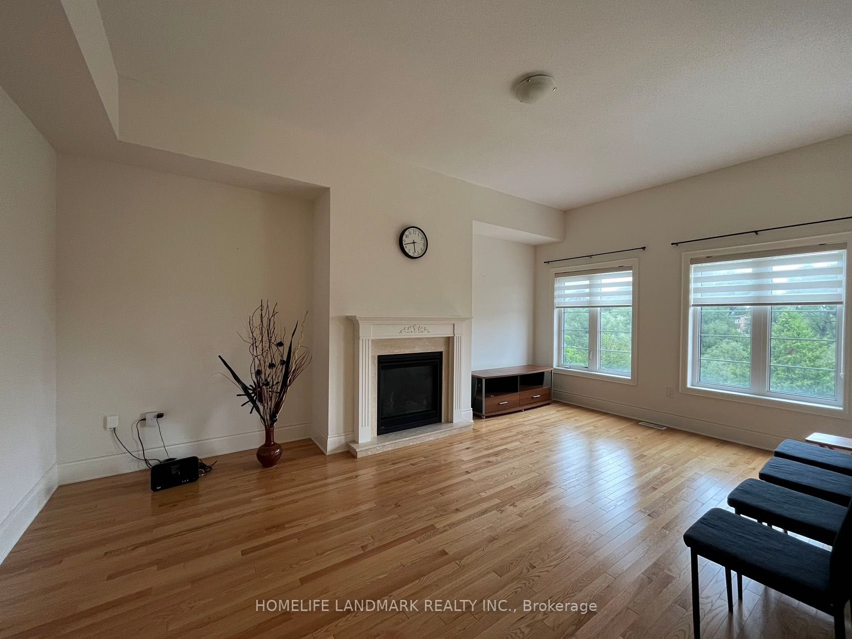 58 Briarfield Avenue E, East Gwillimbury, ON L9N 0P4 photo 3