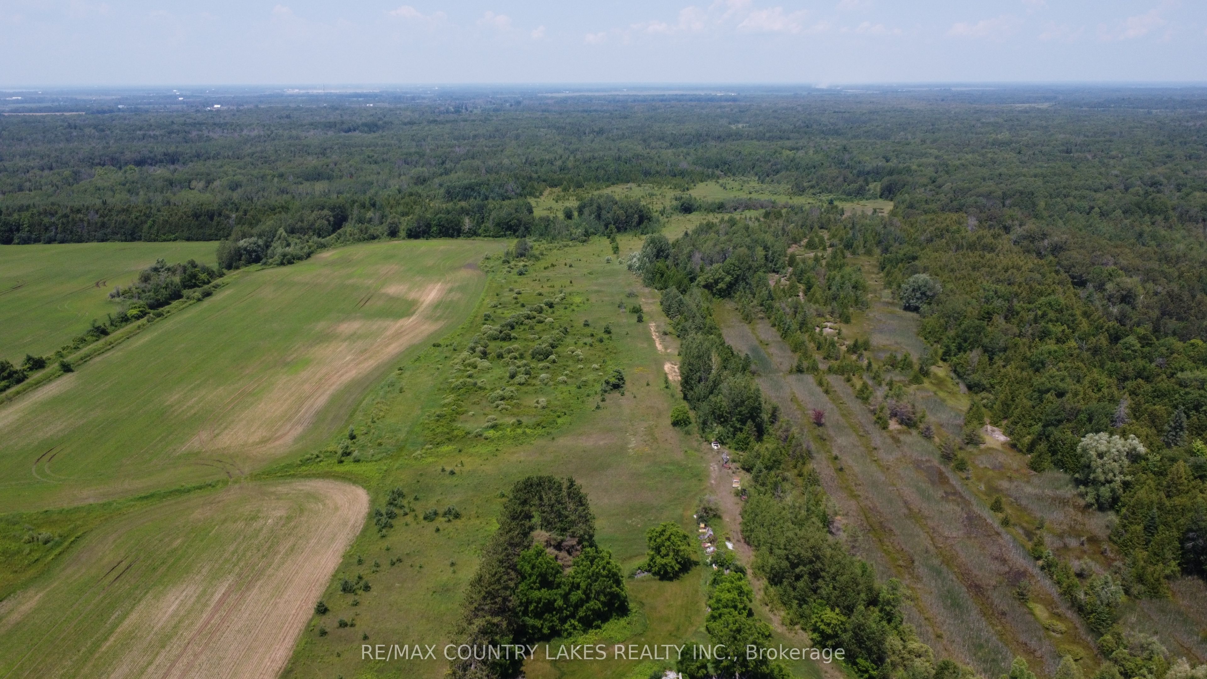 1995 Thorah Concession Road 7 N/A, Brock, ON L0K 1A0 photo 4