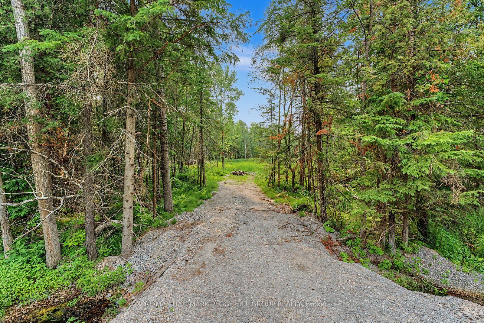 6905 County Road 21 N/A, Essa, ON L9R 1V2 photo 3