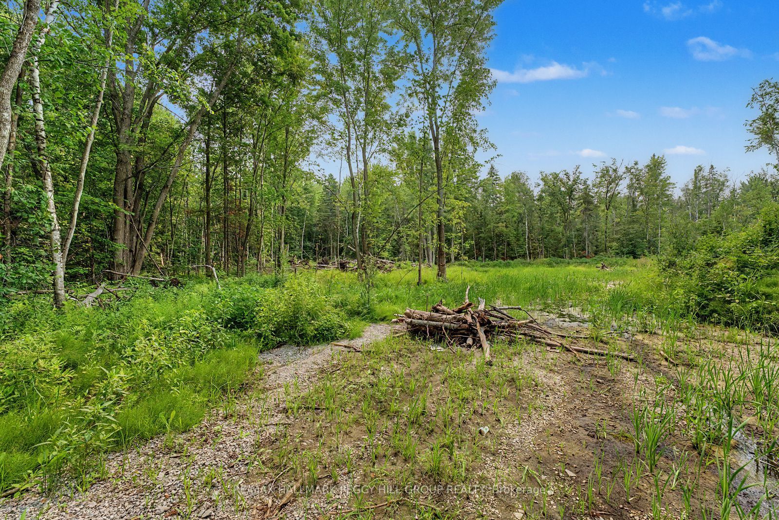 6905 County Road 21 N/A, Essa, ON L9R 1V2 photo 4