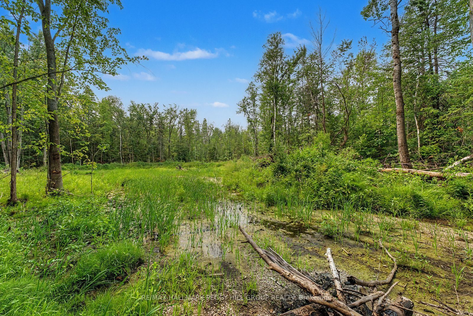 6905 County Road 21 N/A, Essa, ON L9R 1V2 photo 5