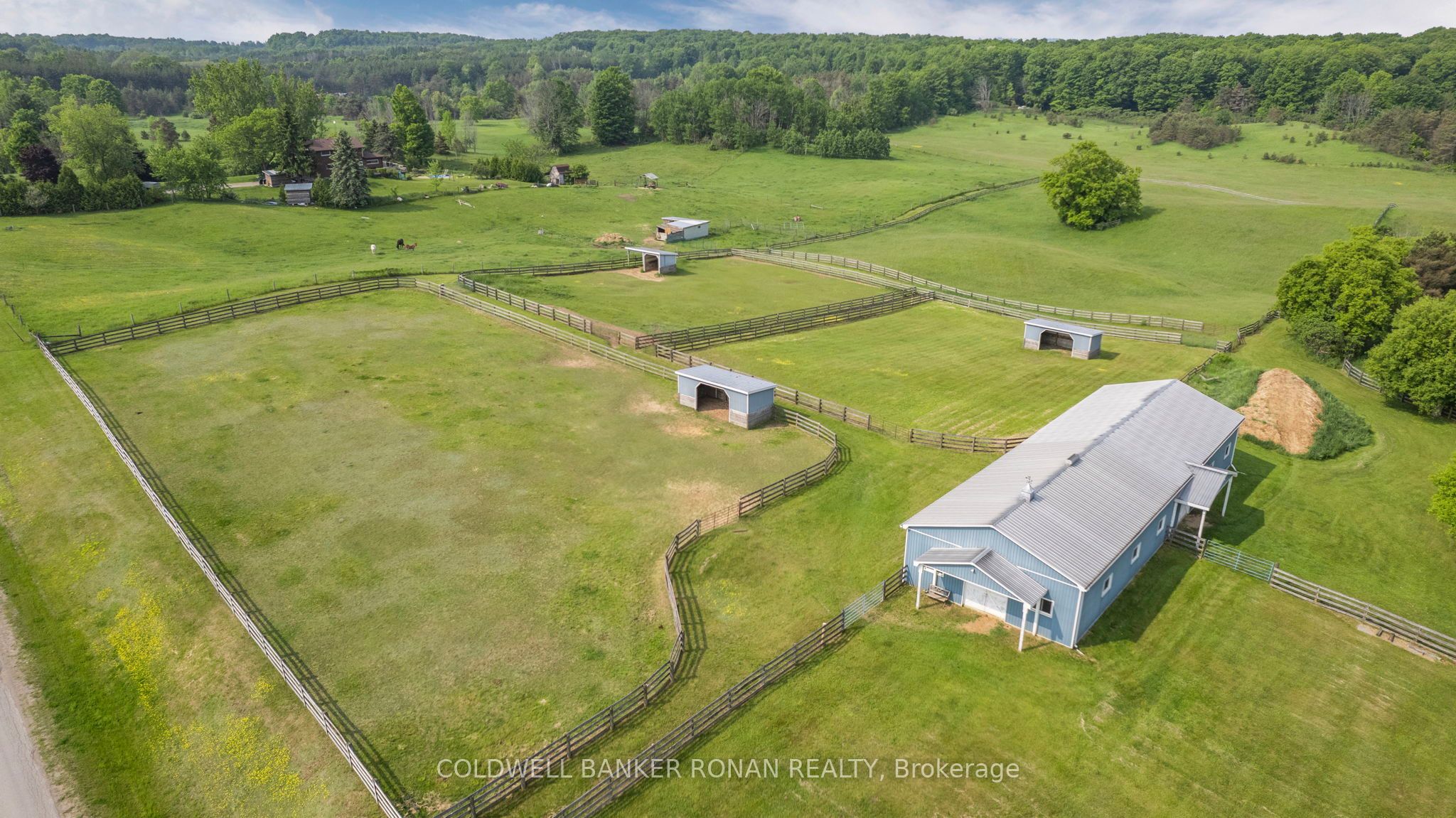 1604 Concession Rd 8 N/A, Adjala-Tosorontio, ON L0G 1W0 photo 4