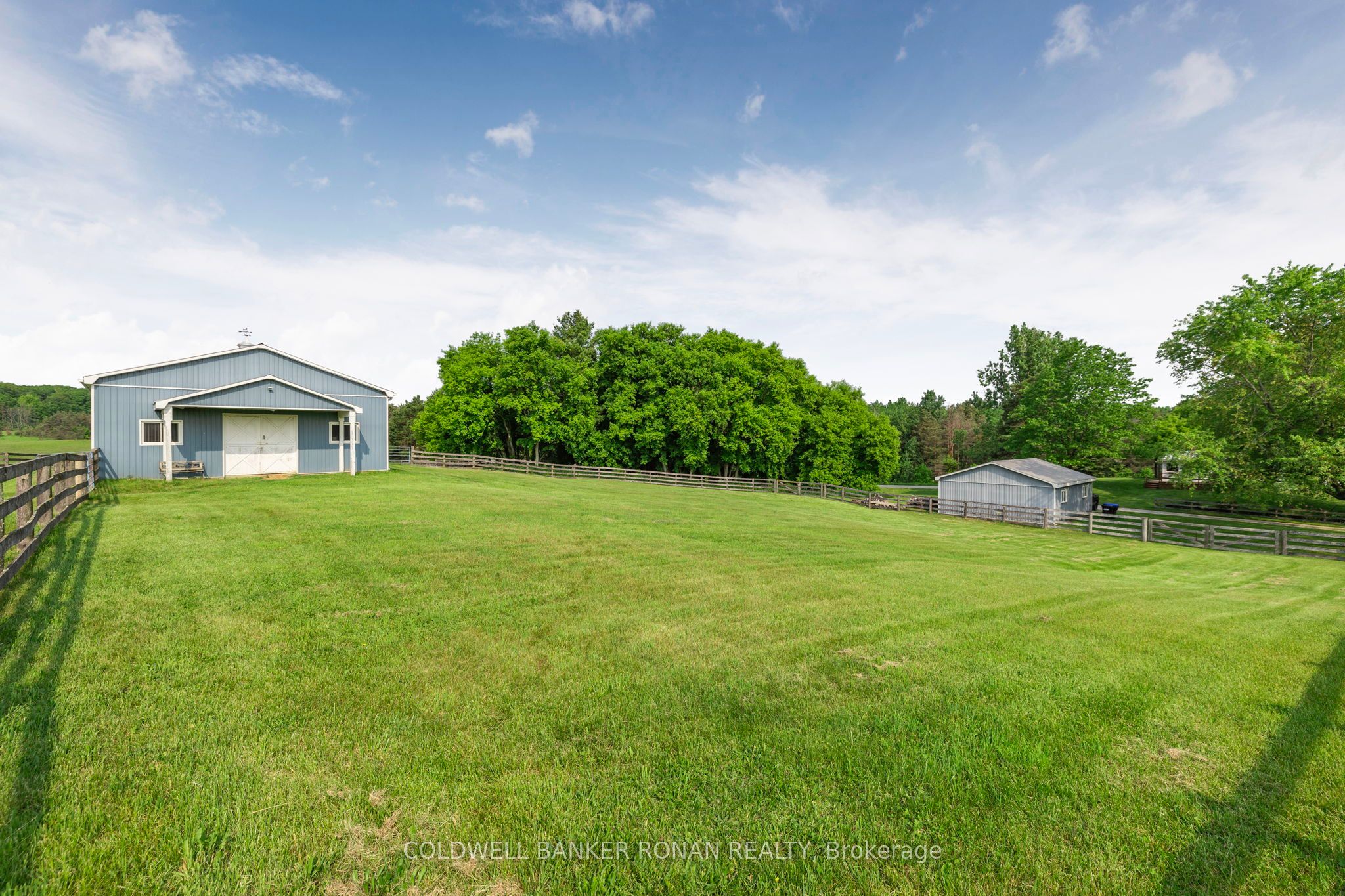 1604 Concession Rd 8 N/A, Adjala-Tosorontio, ON L0G 1W0 photo 5