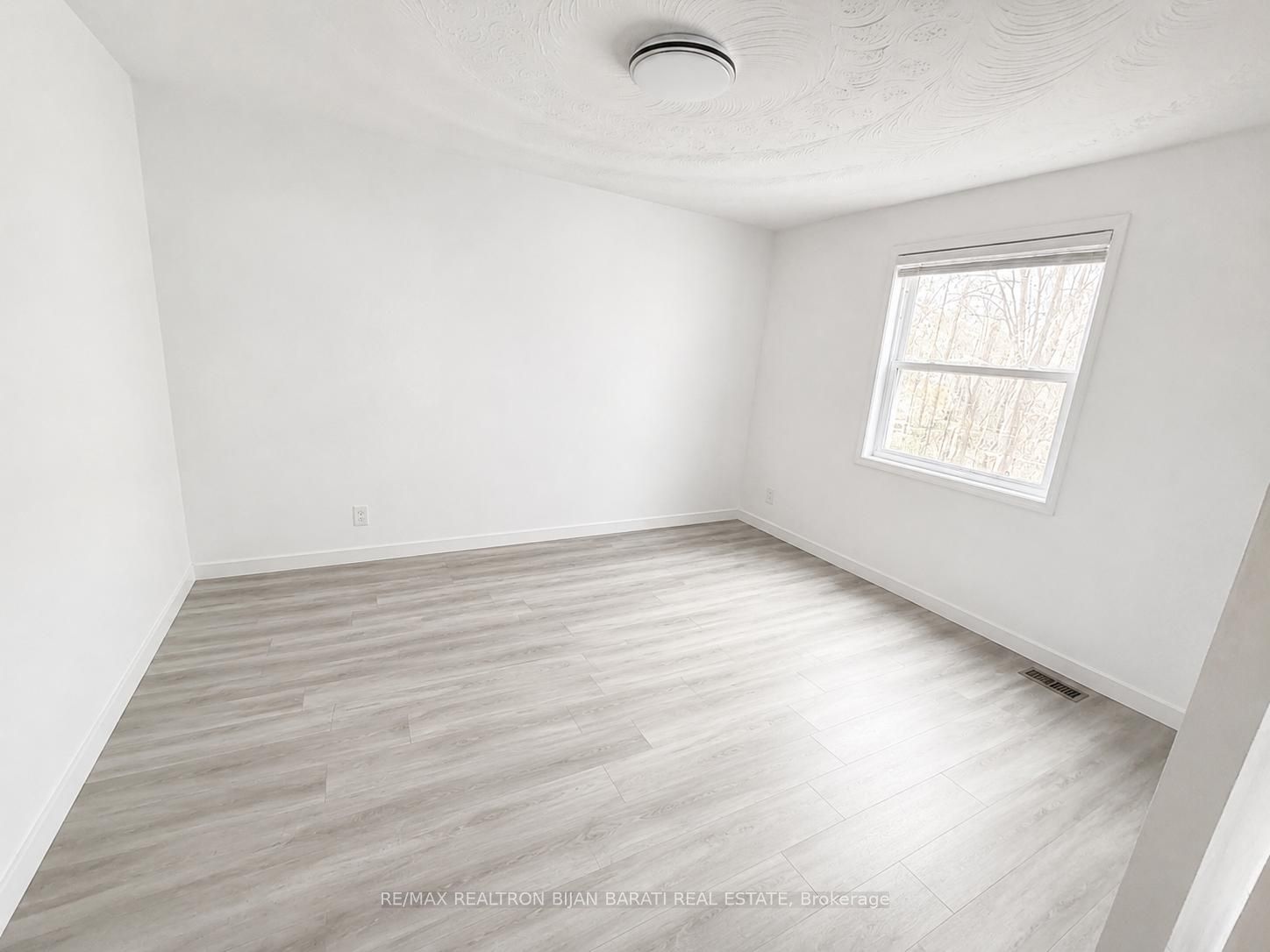 167 Ruggles Avenue, Richmond Hill, ON L4C 1Y3 photo 2