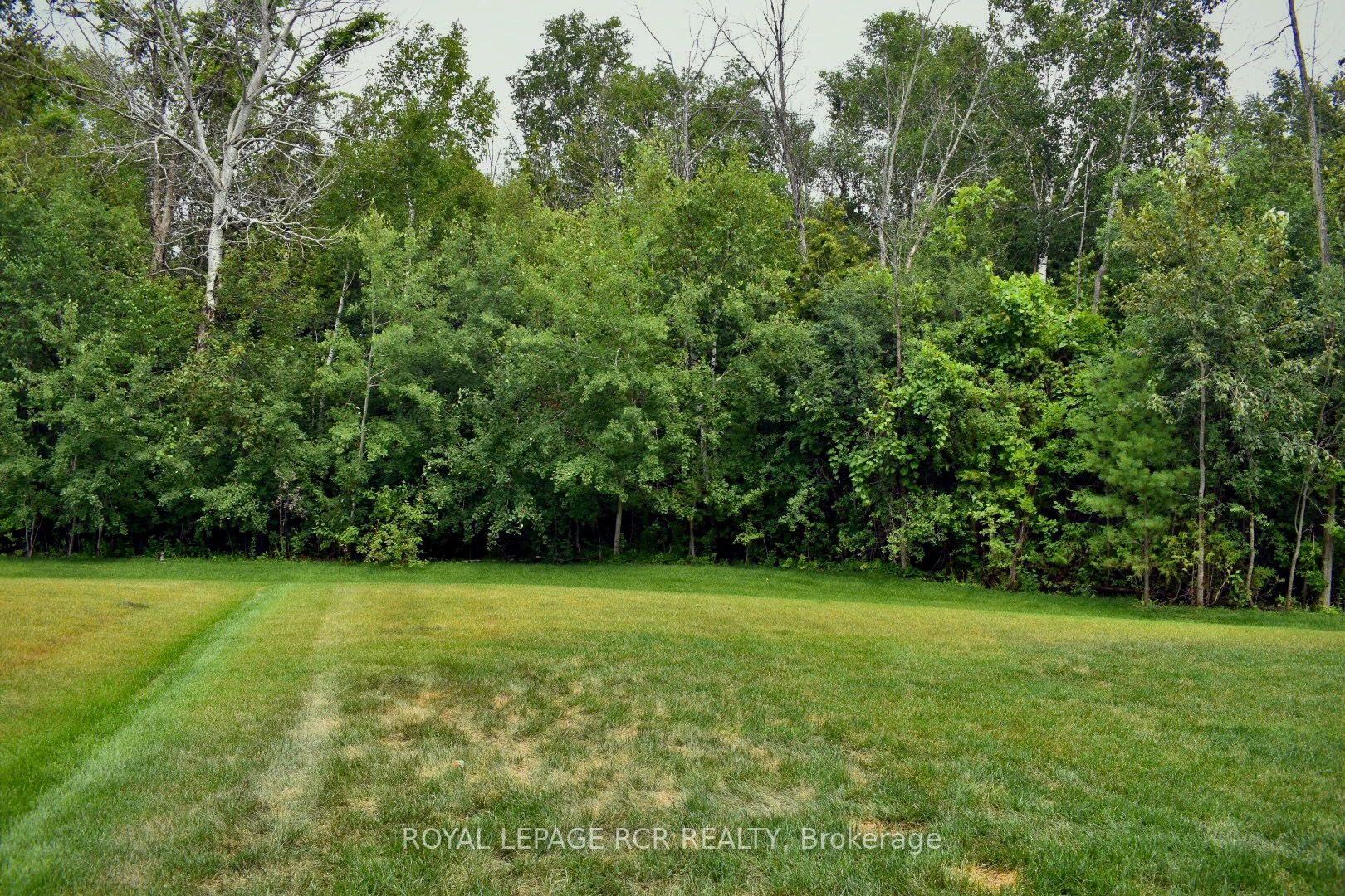 55 Shelson Place, Georgina, ON L0E 1R0 photo 3
